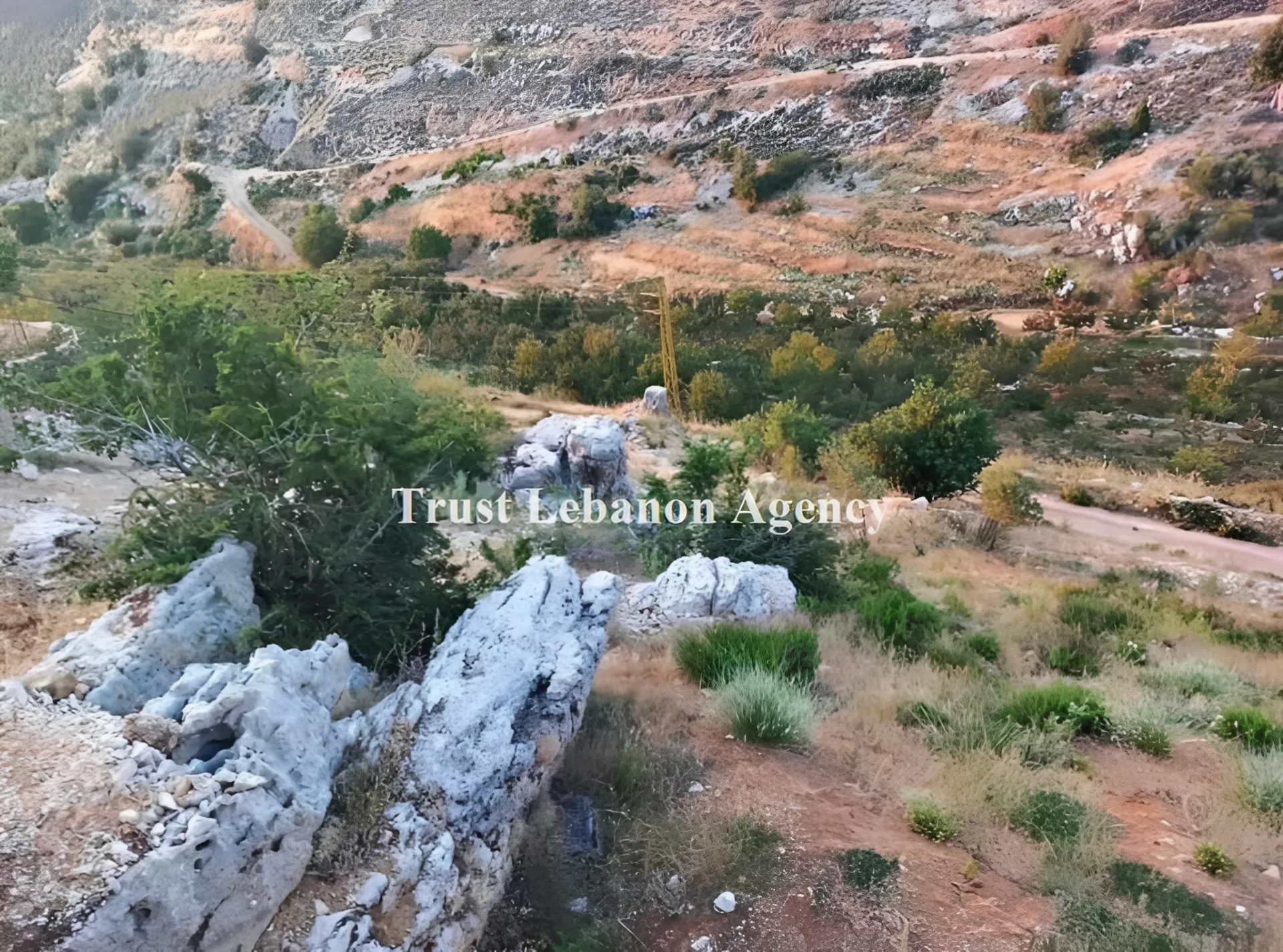Land for Sale in Tannourine Batroun