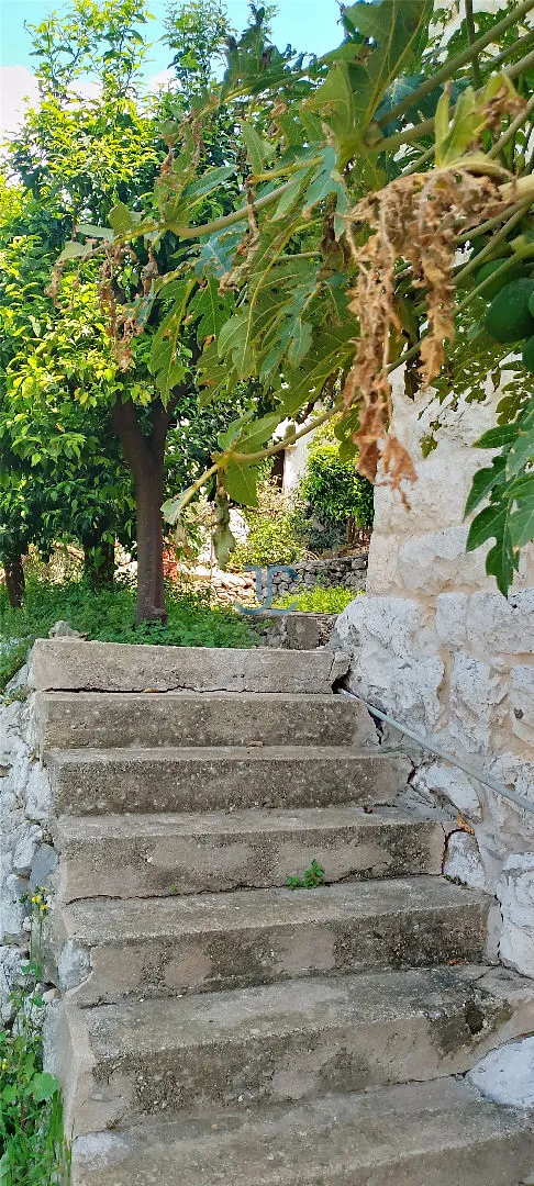 Land for sale in Sahel alma, lebanon