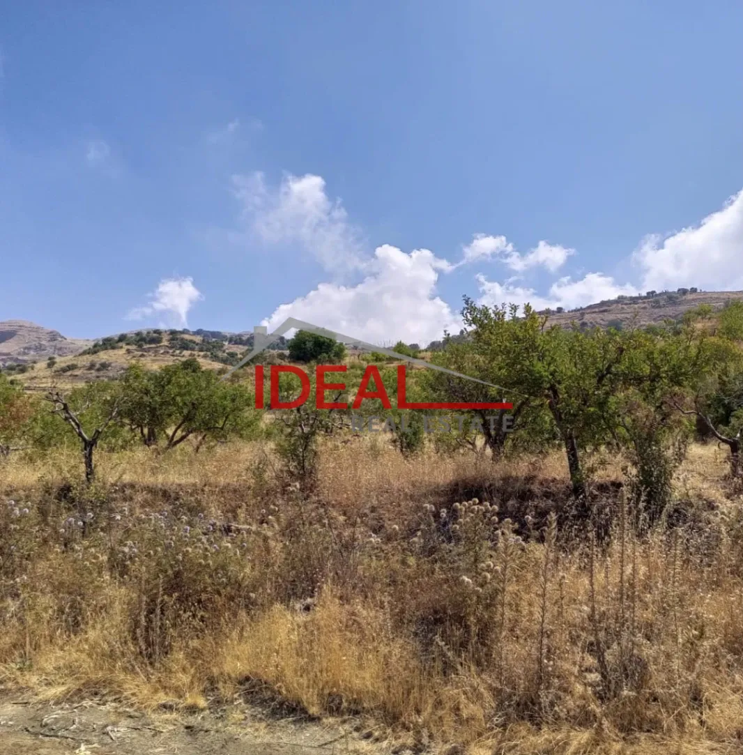 Residential Land for sale in Mayrouba, Lebanon