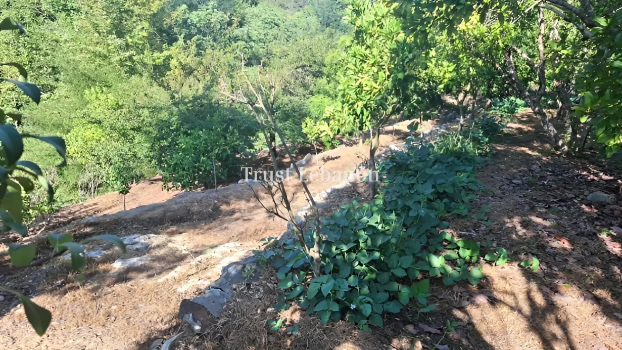 Residential Land for sale in Silfaya