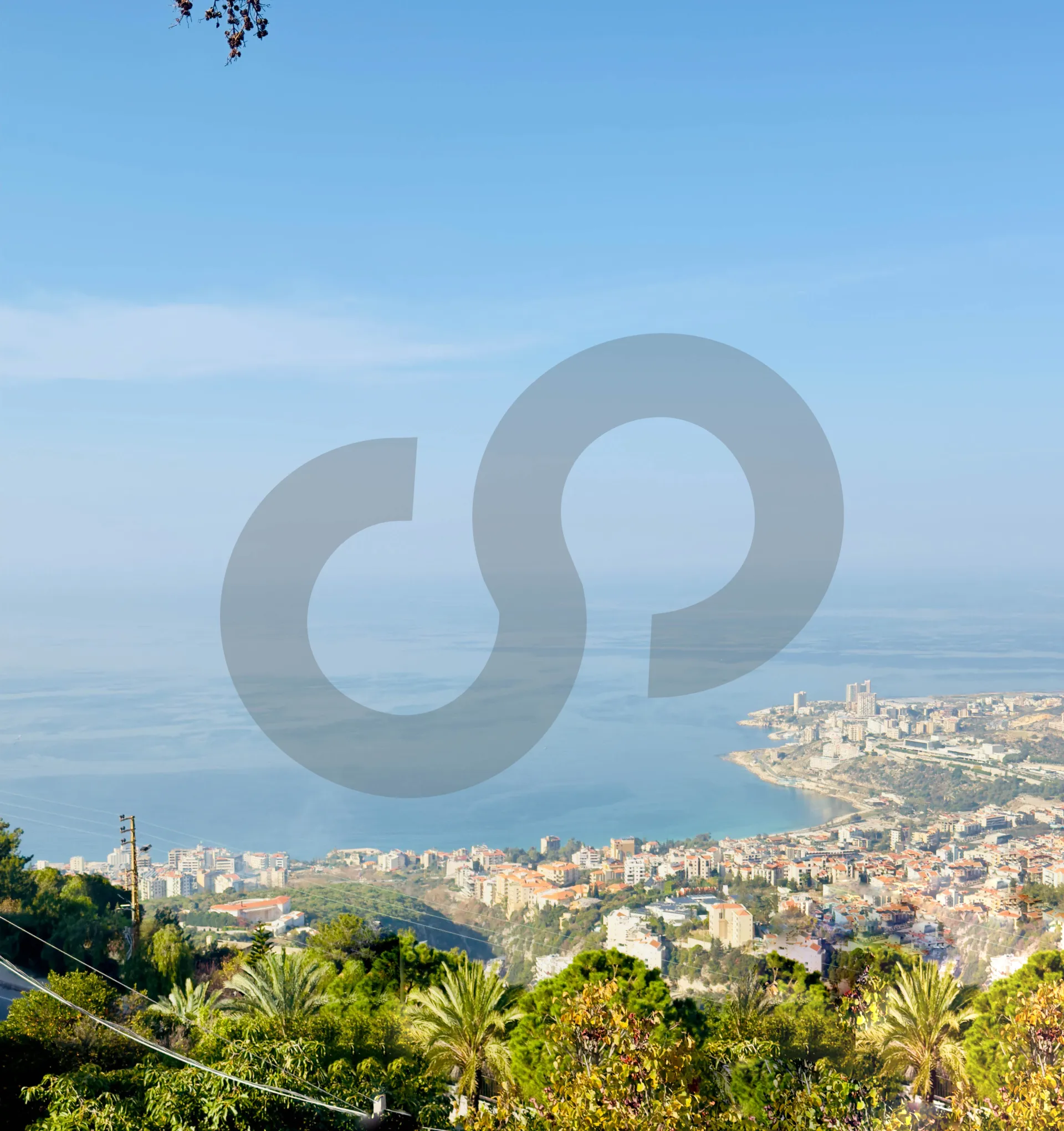 Land for Sale in Chnaniir