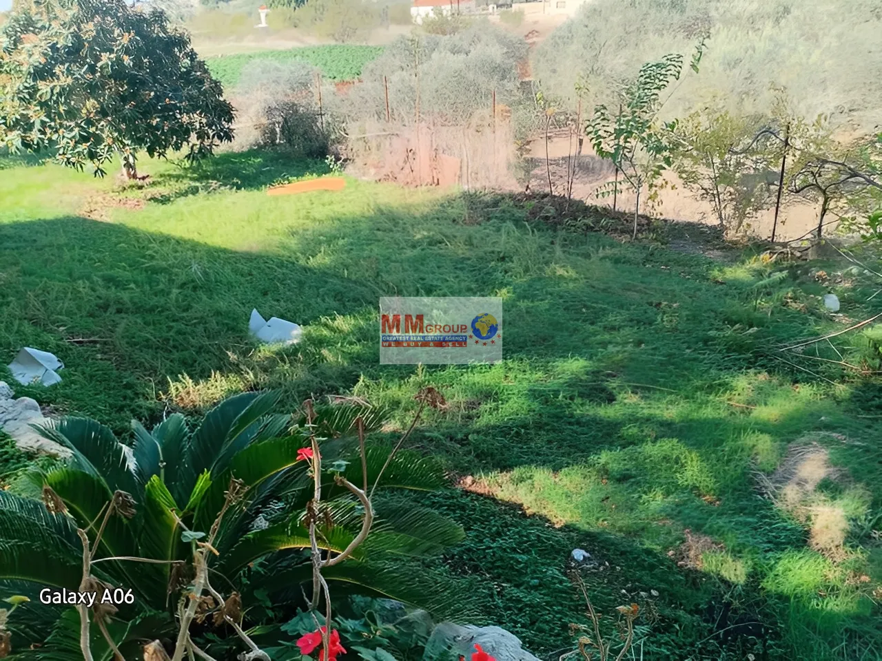 Land for Sale in Batroun