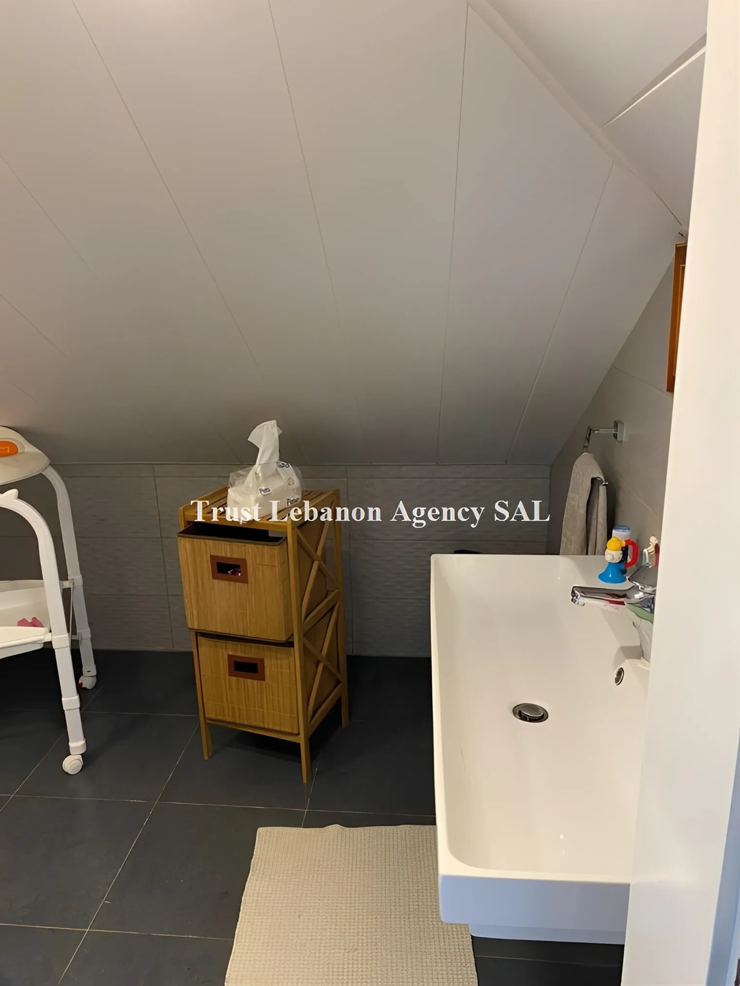 Duplex for Sale in Metn Bsalim Lebanon