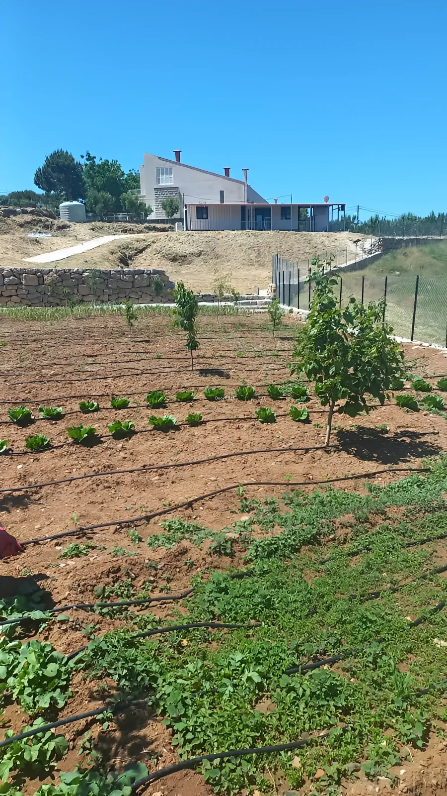 Land for sale in Zaarour