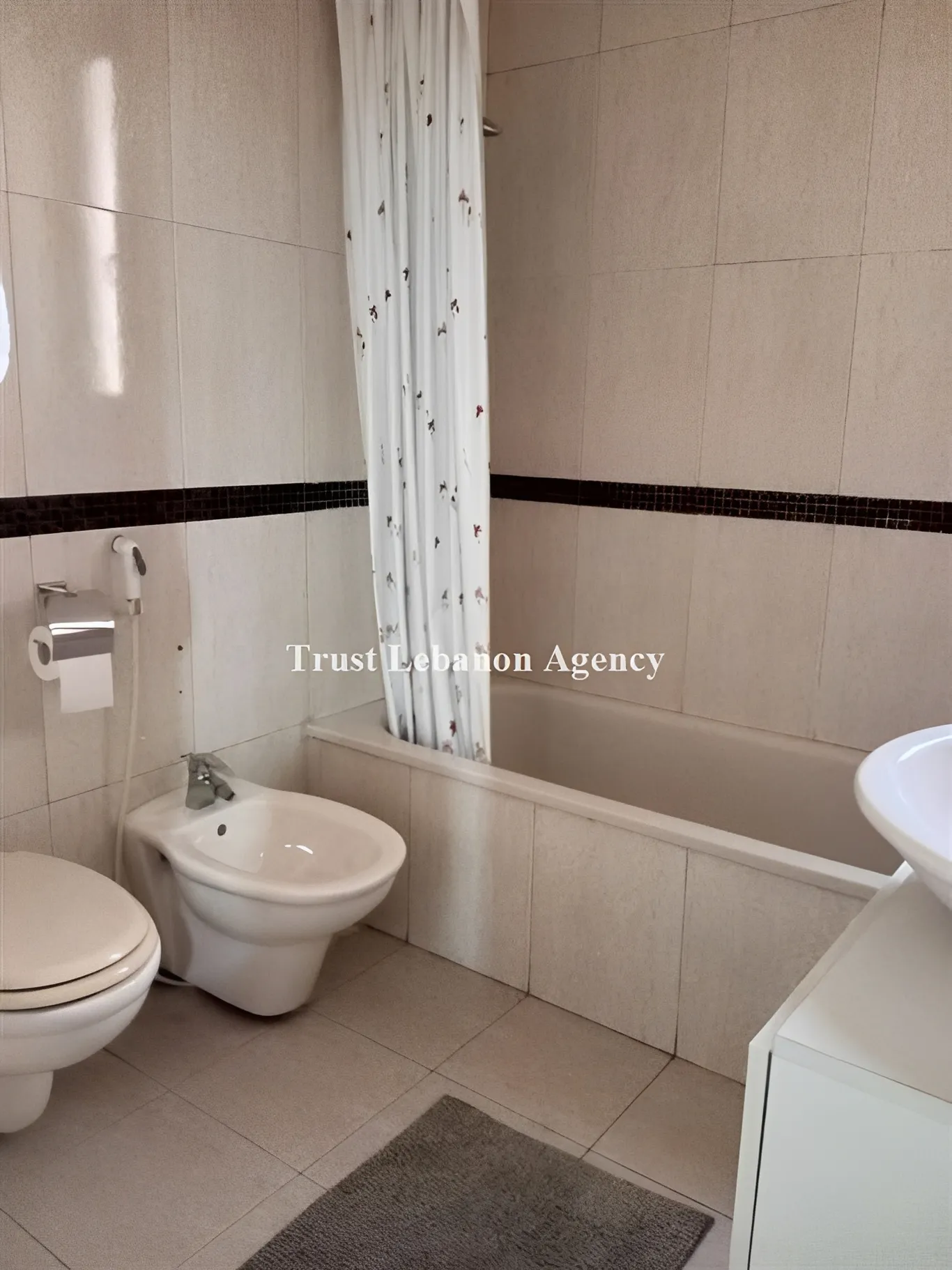 Apartment for Rent in Ashrafieh Beirut Lebanon