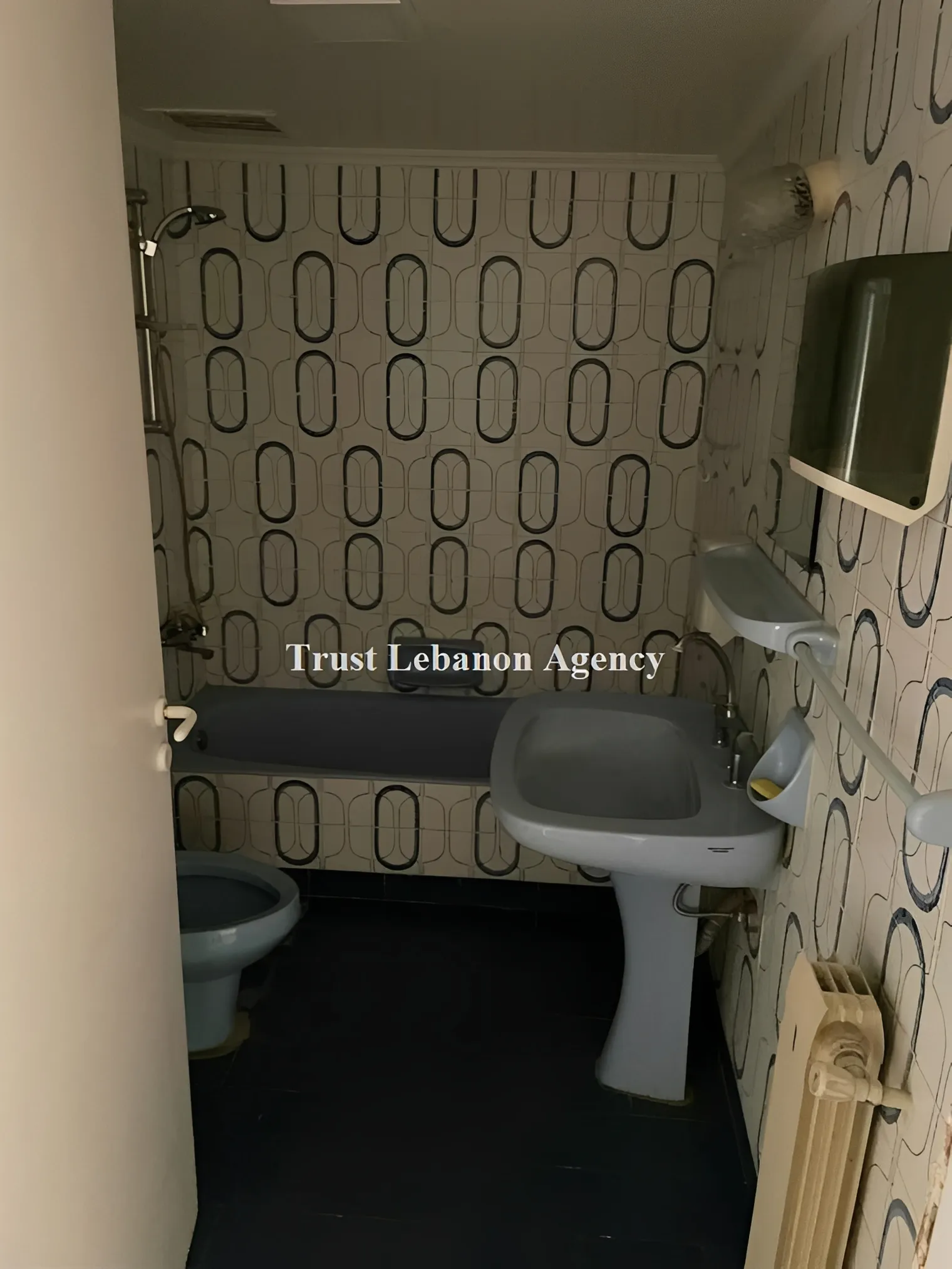 Apartment for Rent in Ashrafieh Beirut Lebanon