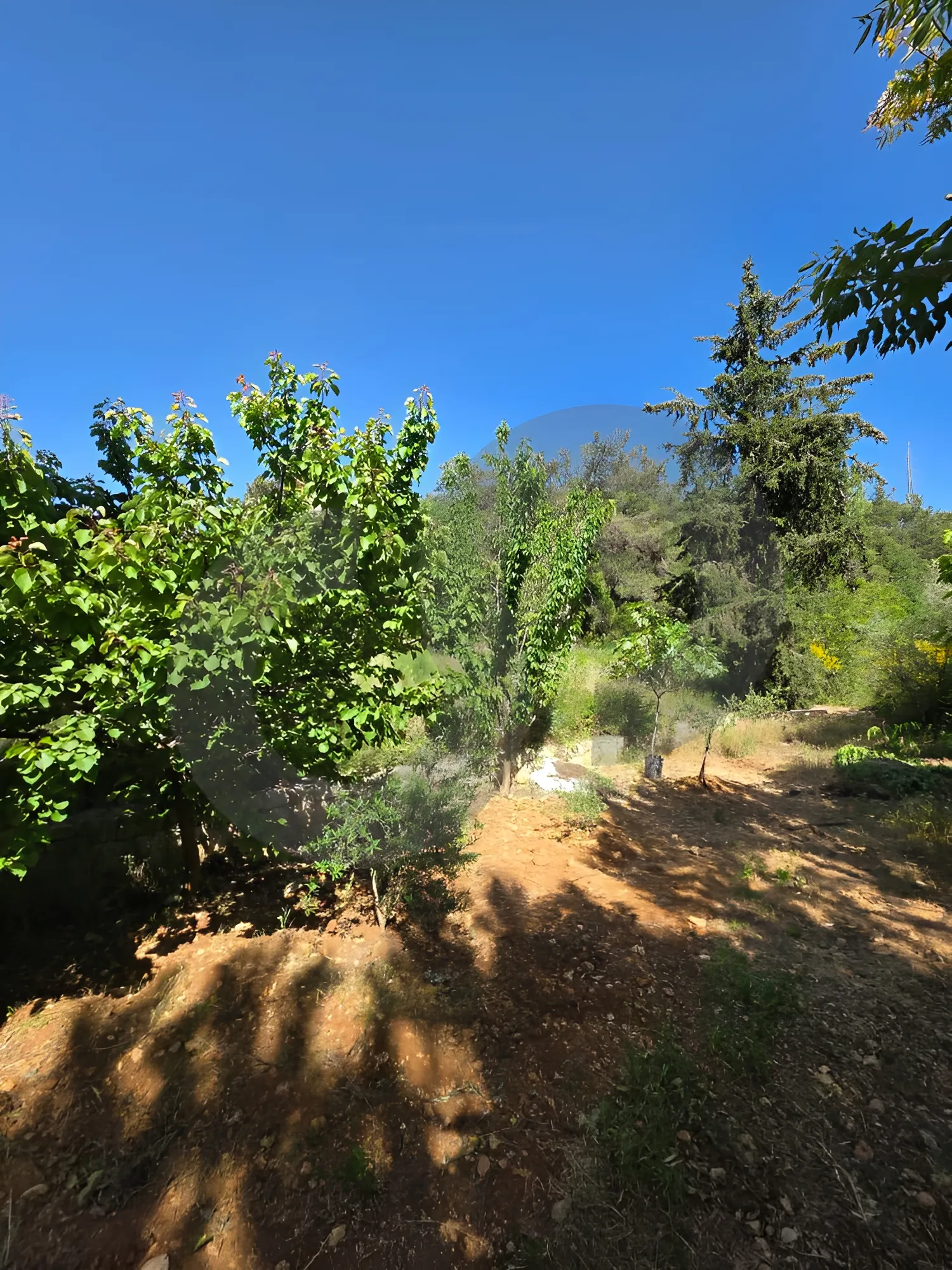 Villa for Sale in Aley