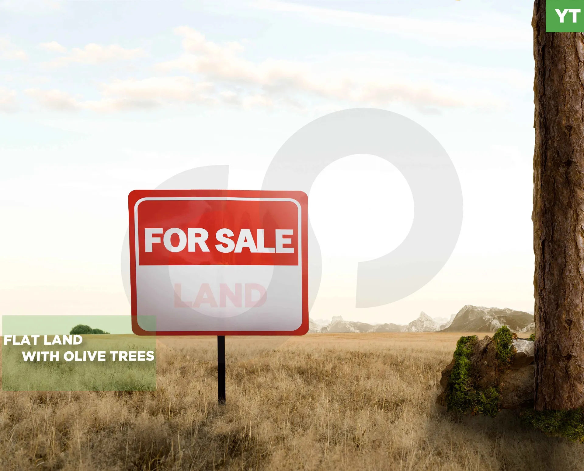Land for Sale in Greater Amyoun