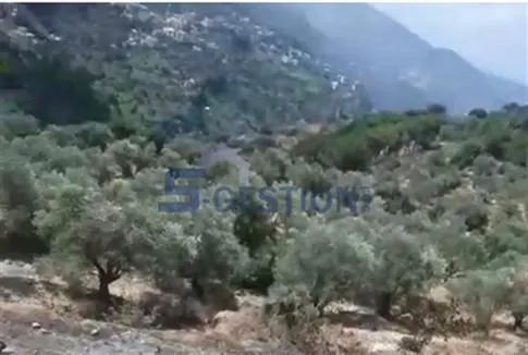 Land for Sale in Deir El Qamar