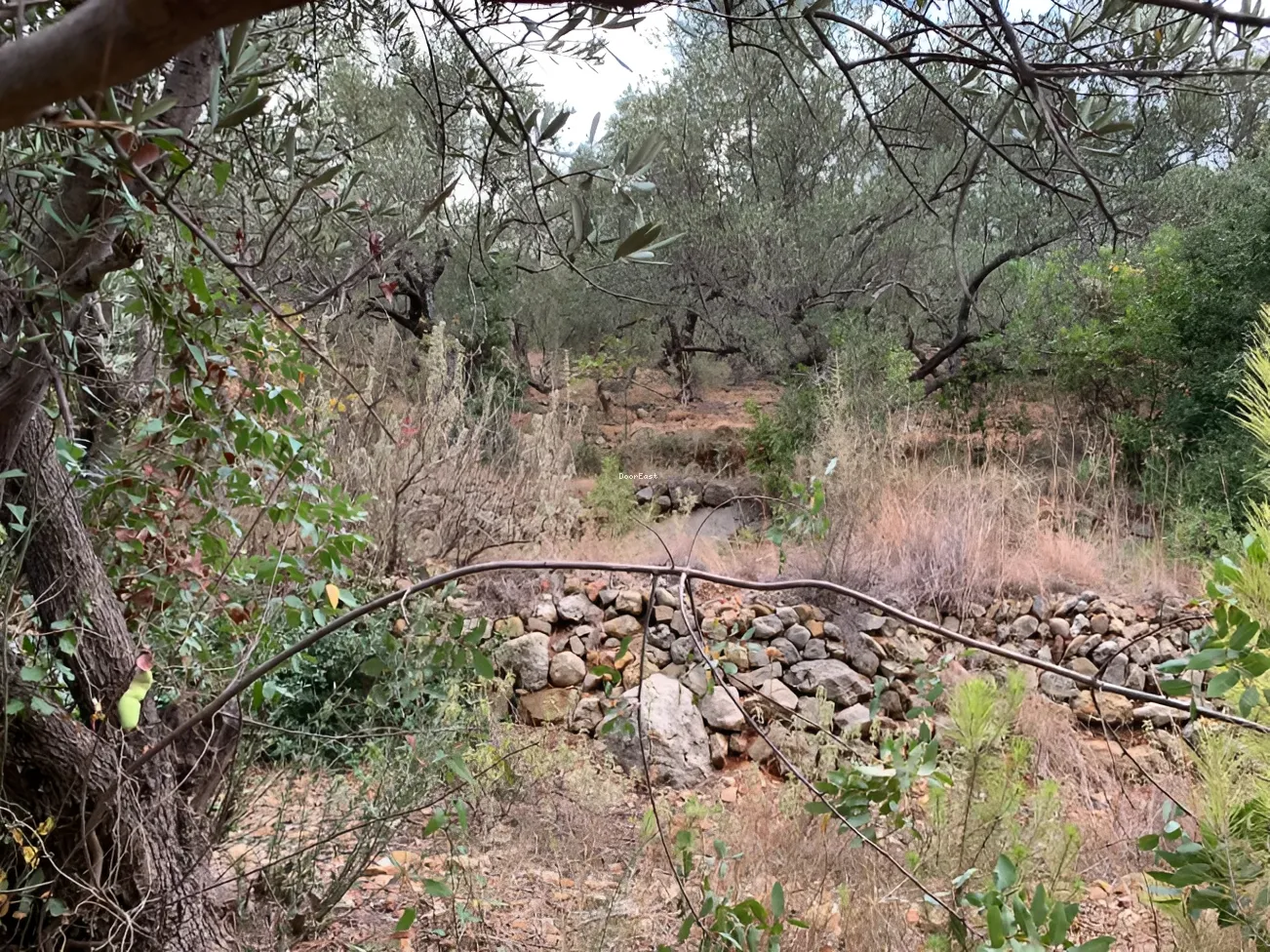Land for sale in Haret El Sett