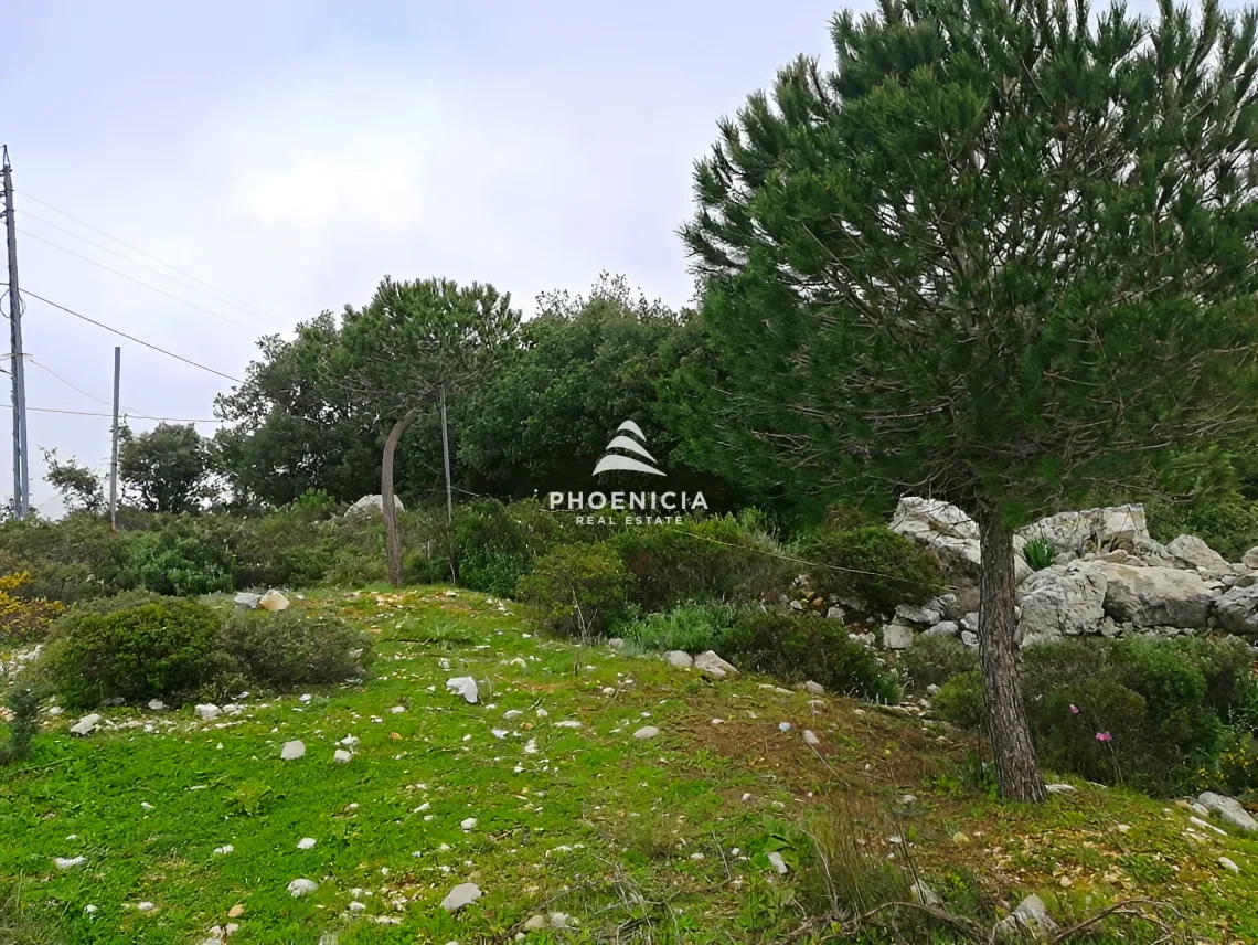 Land for Sale in Blat