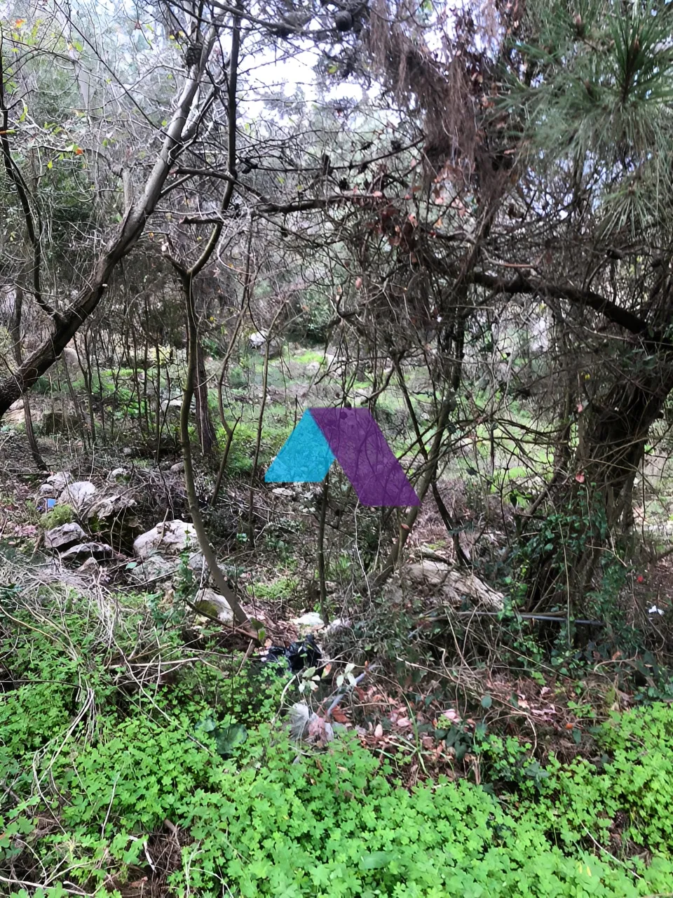 Land for Sale in Roumieh