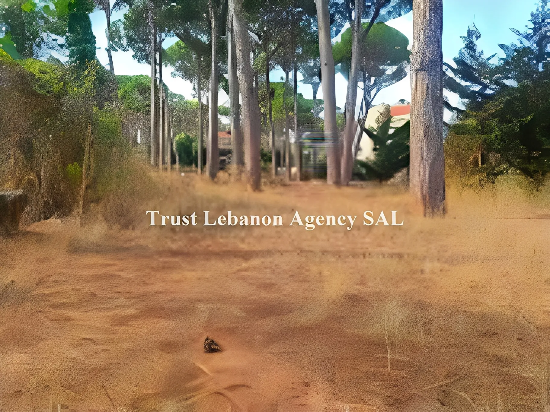 Land for Sale in Metn Jouret El Ballout Lebanon