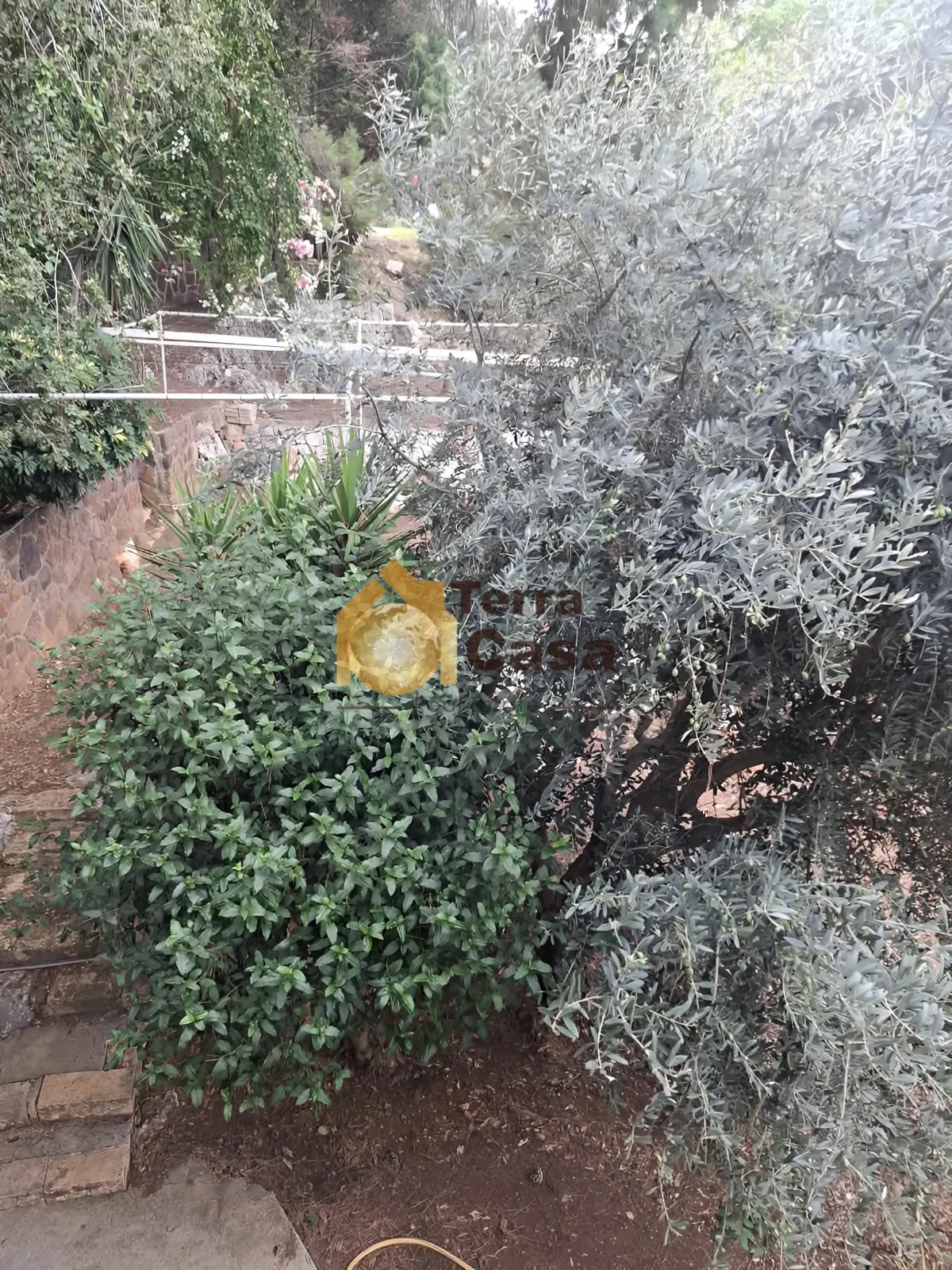 Villa for rent in Sehayleh