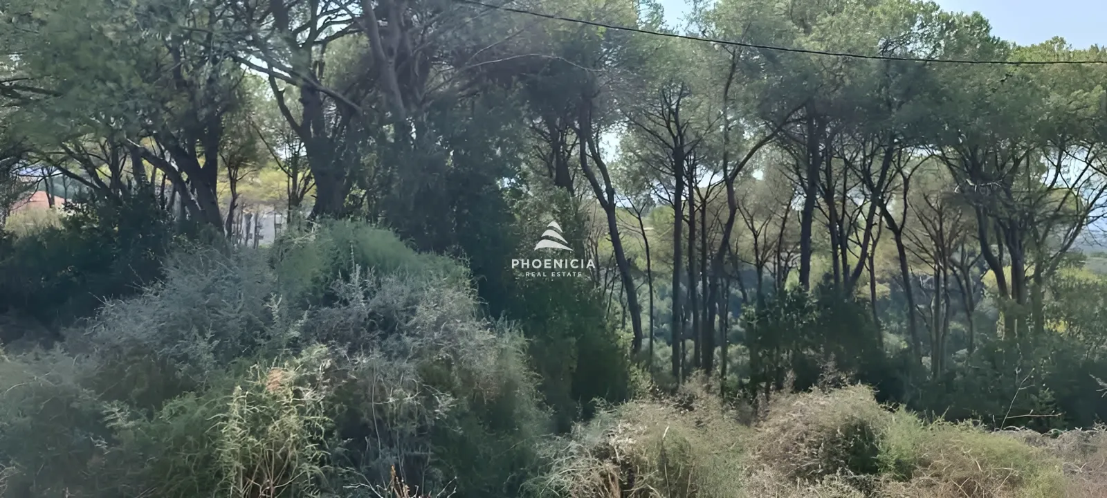 Land for Sale in Gharzouz