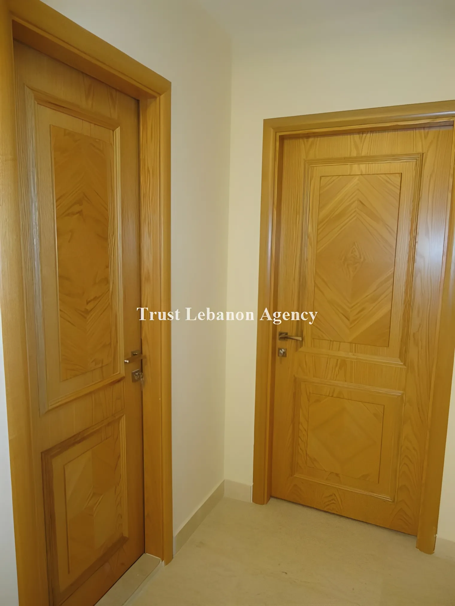 Apartment for Sale in Metn Elyssar Lebanon
