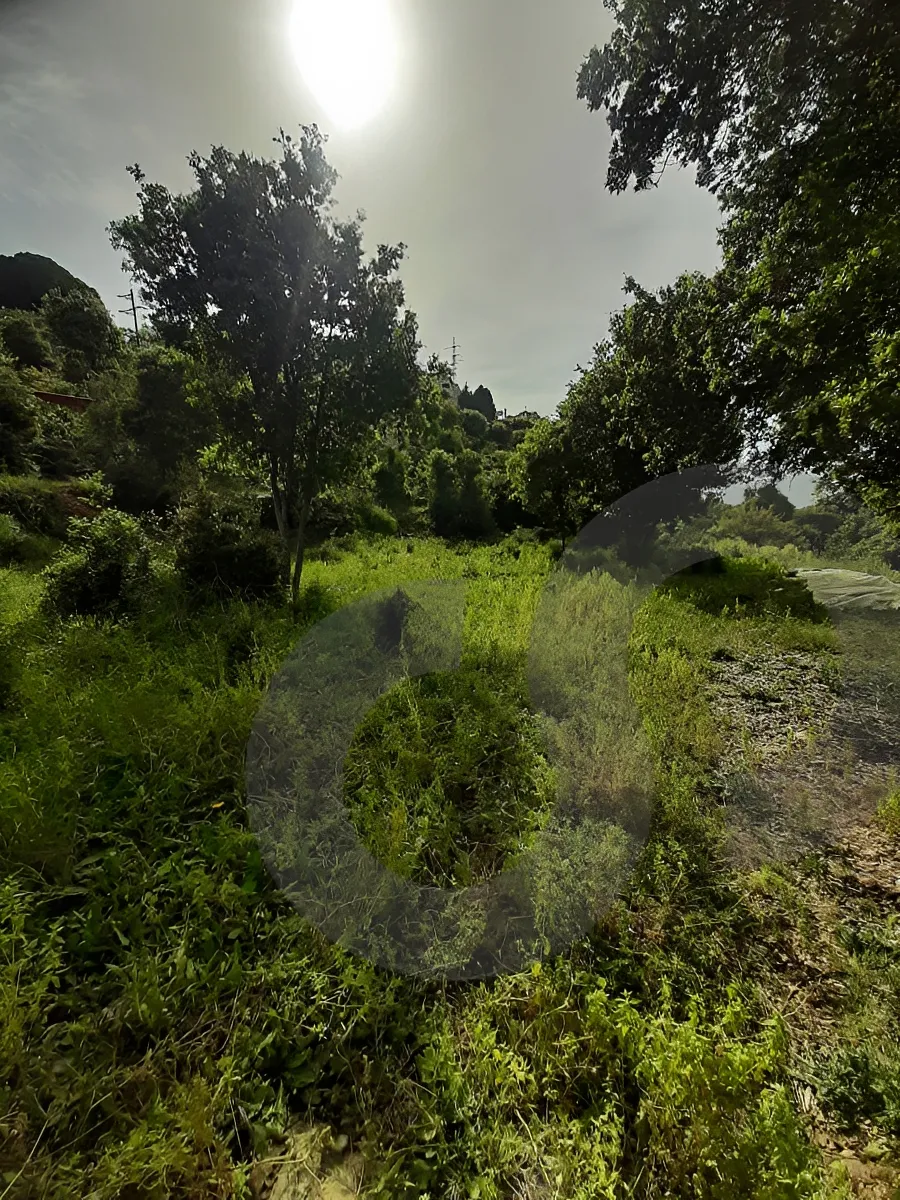 Land for Sale in Aamchit, Lebanon
