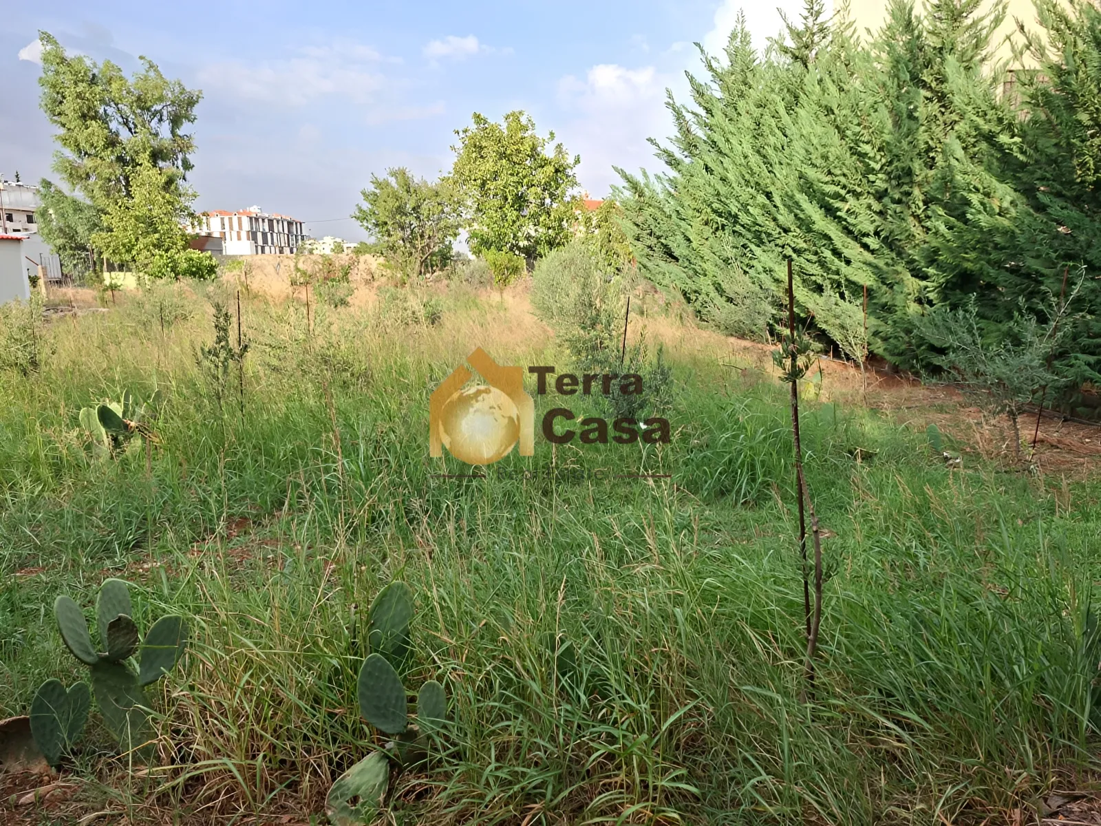 Land for sale in Zahle, Lebanon