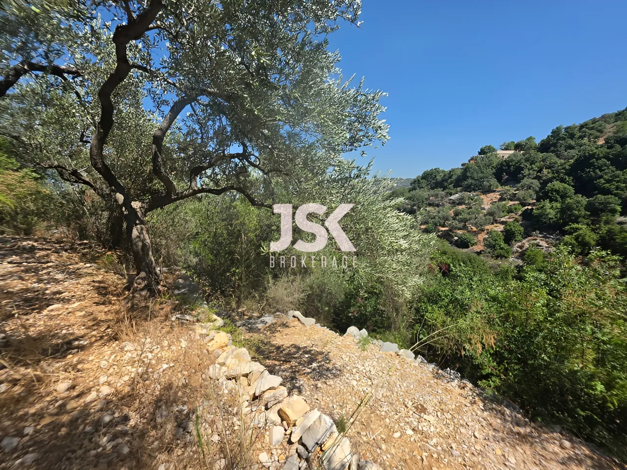 Land for Sale in Batroun