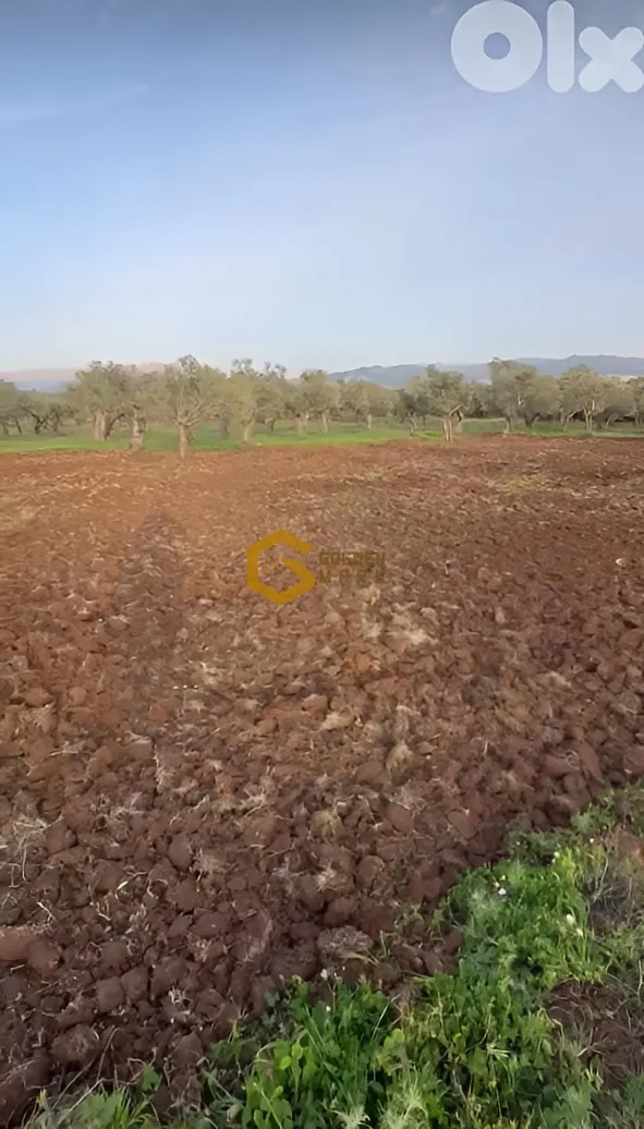 Land for Sale in Koura