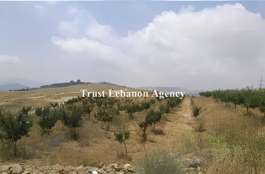Land for Sale in Ain Dara Alay Lebanon