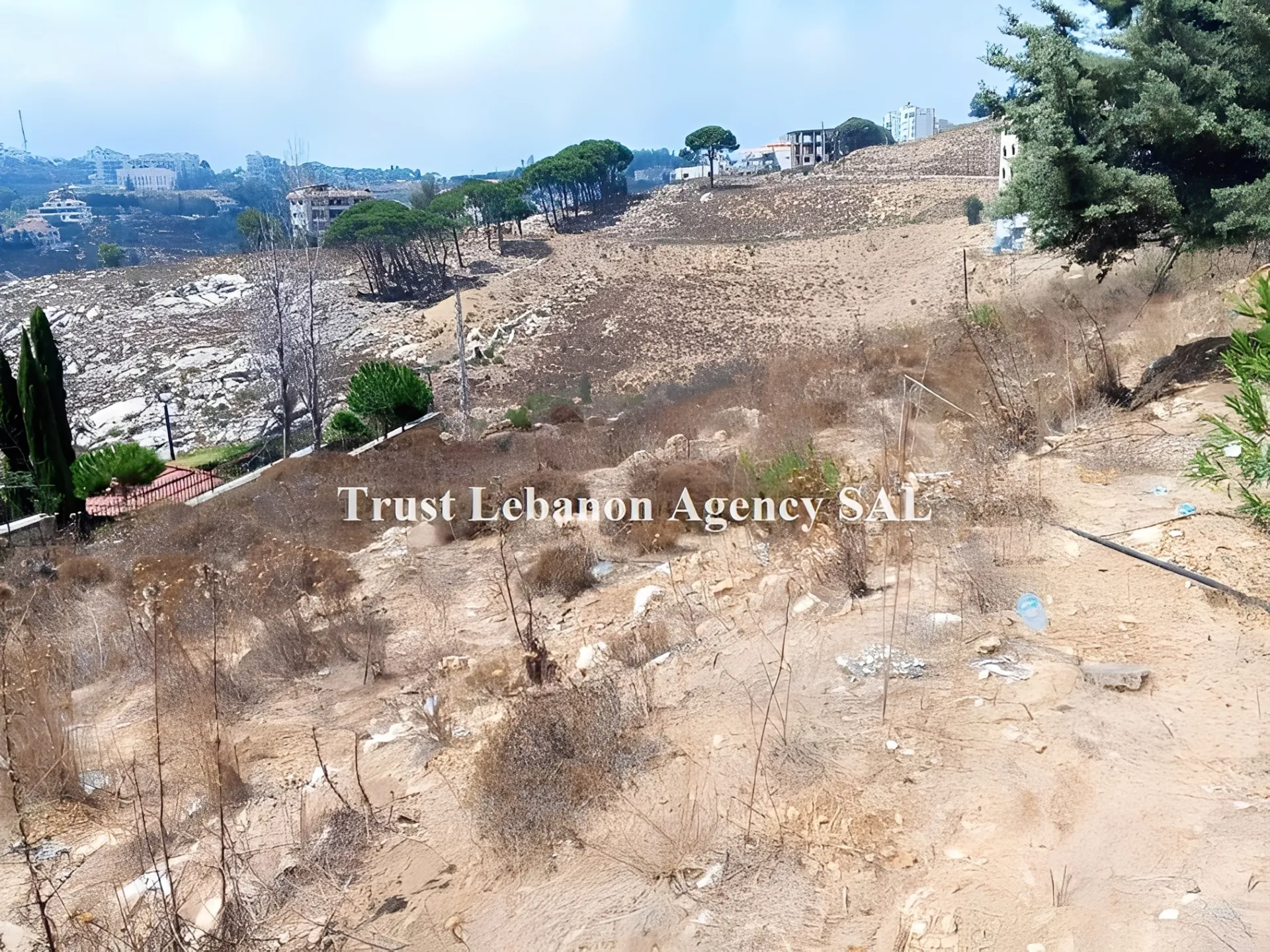 Land for Sale in Souq El Gharb