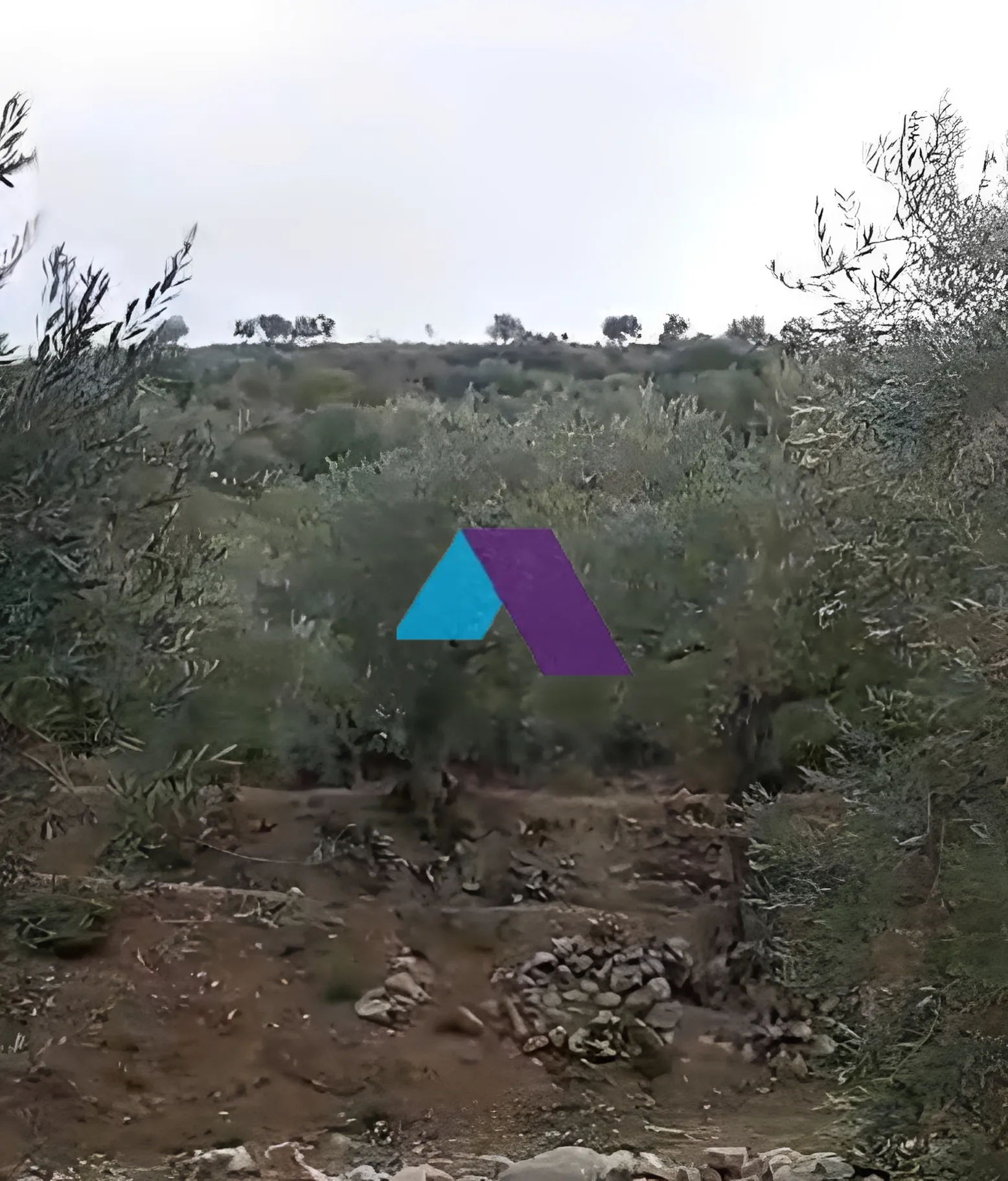 Land for Sale in Koura