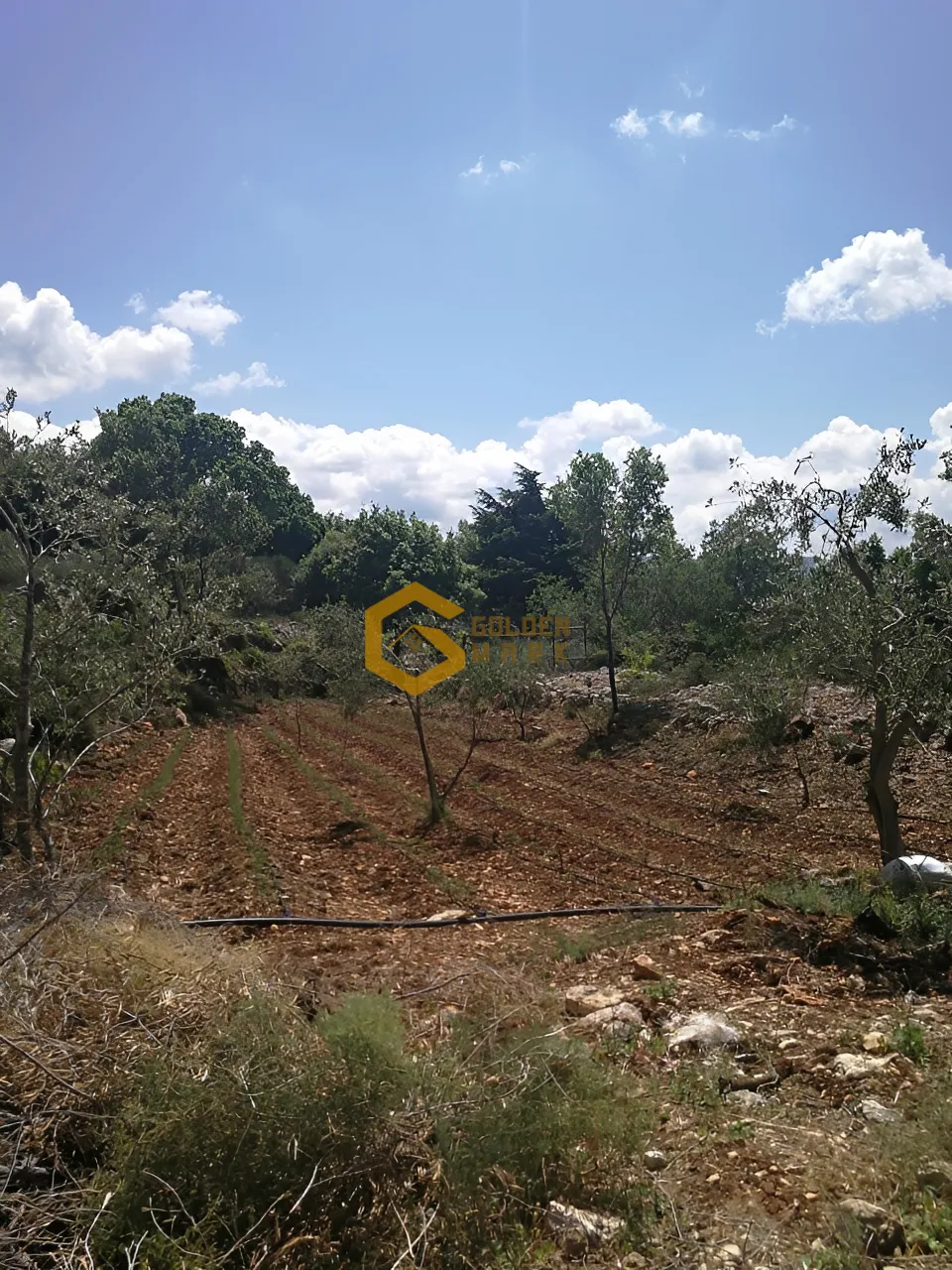Land for Sale in Smar Jbeil