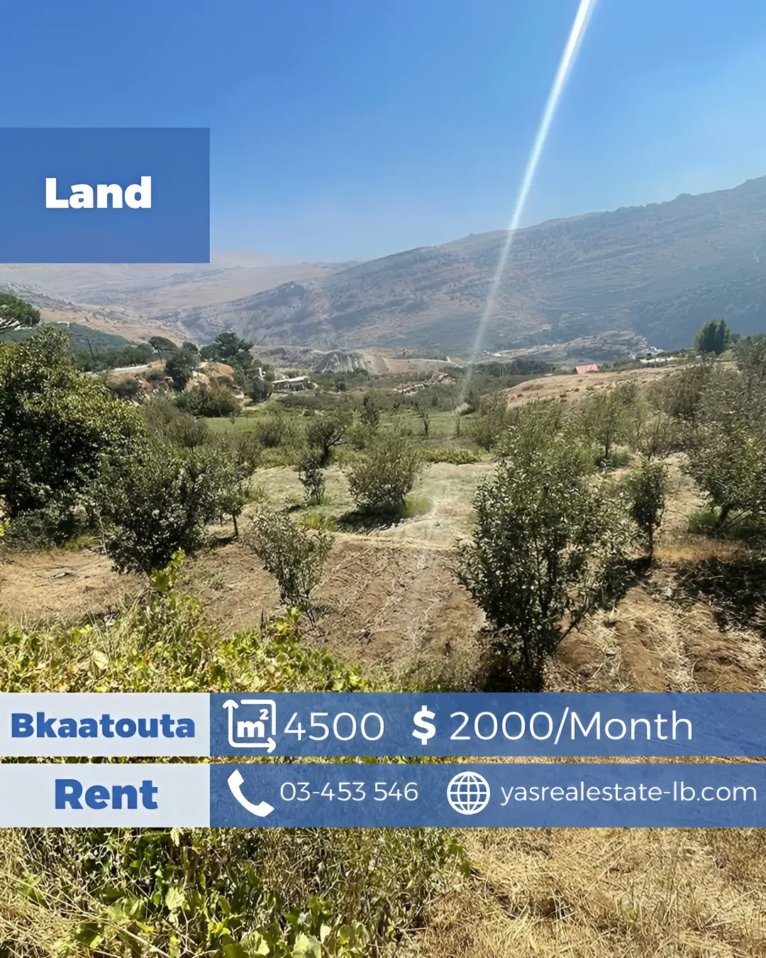 Land for Rent in Bqaatouta