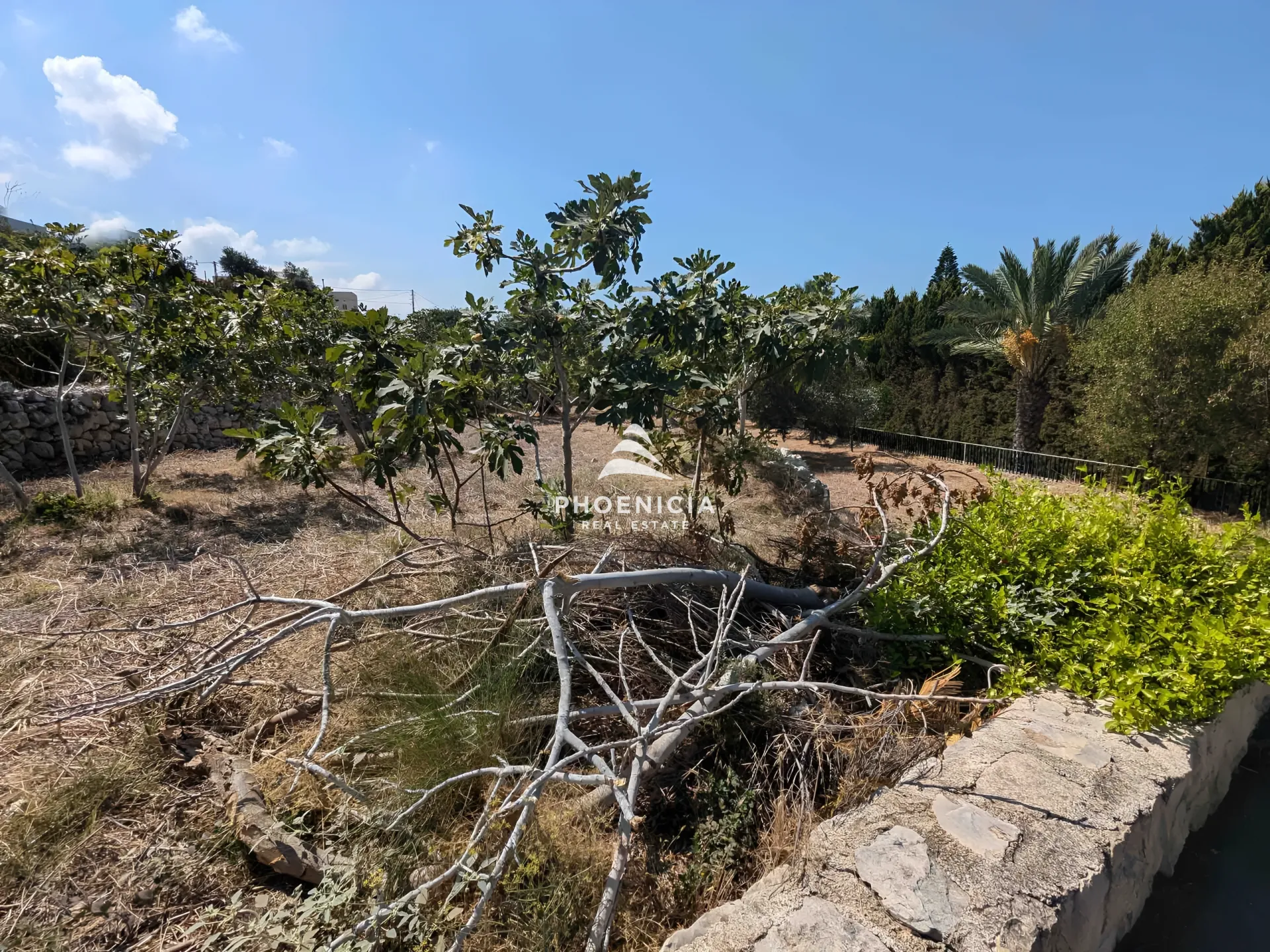 Land for Sale in Berbara