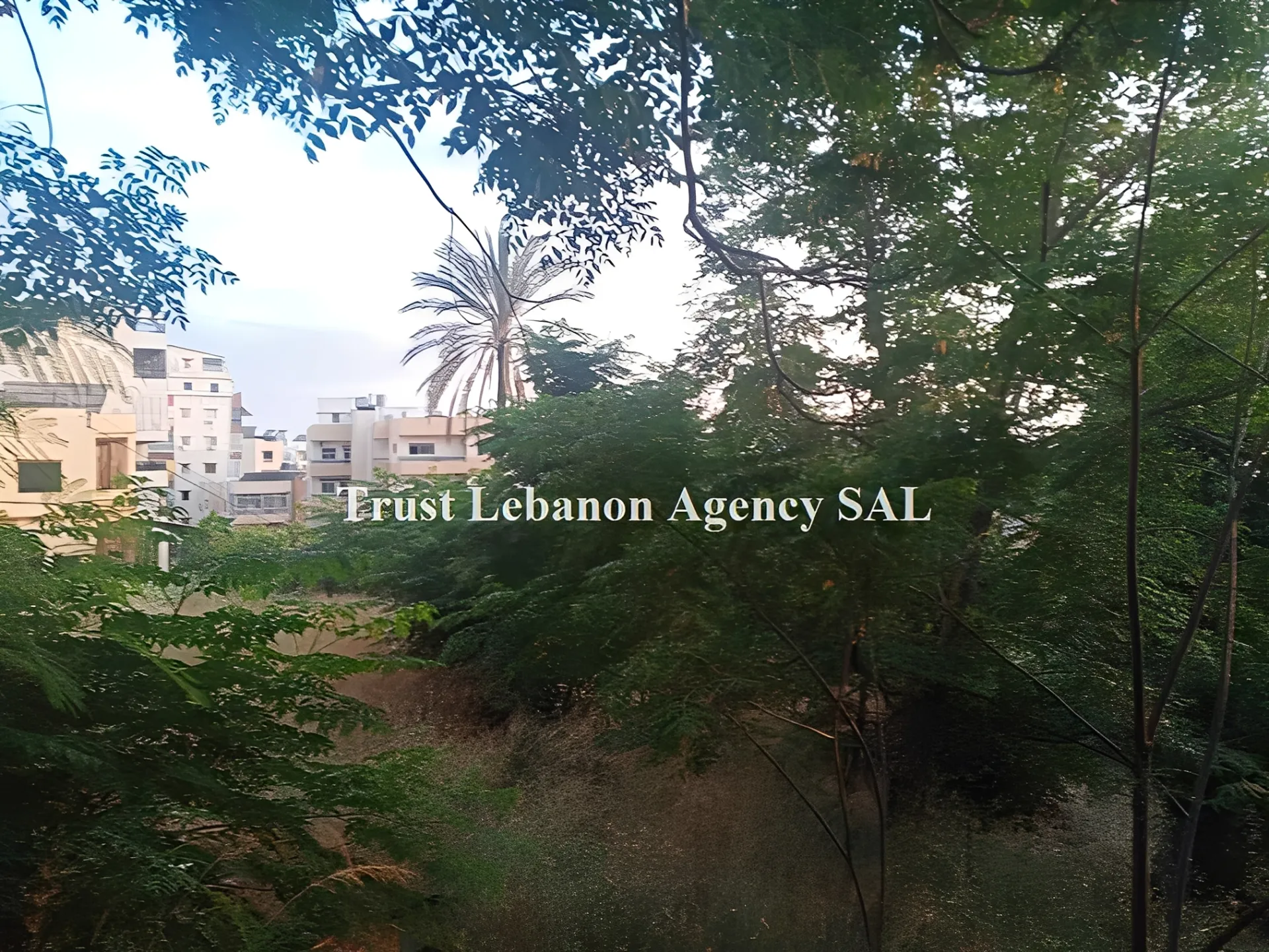 Land for Sale in Tyre