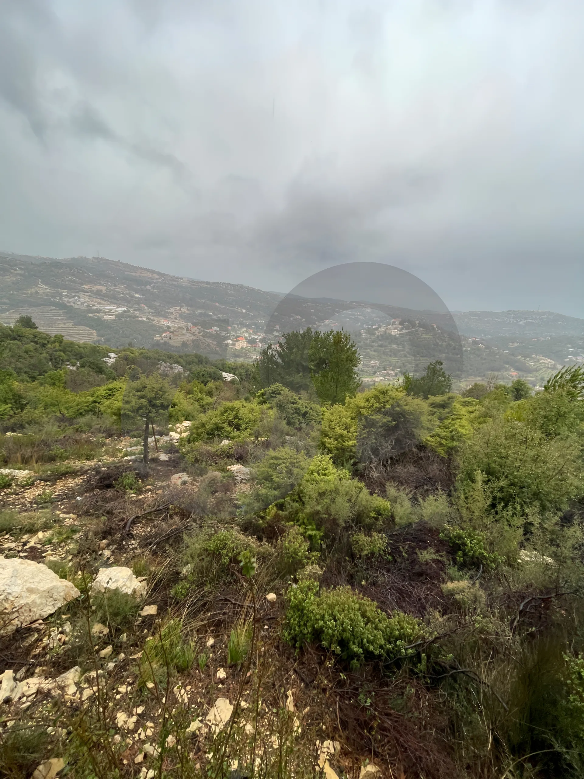 Land for Sale in Lehfed