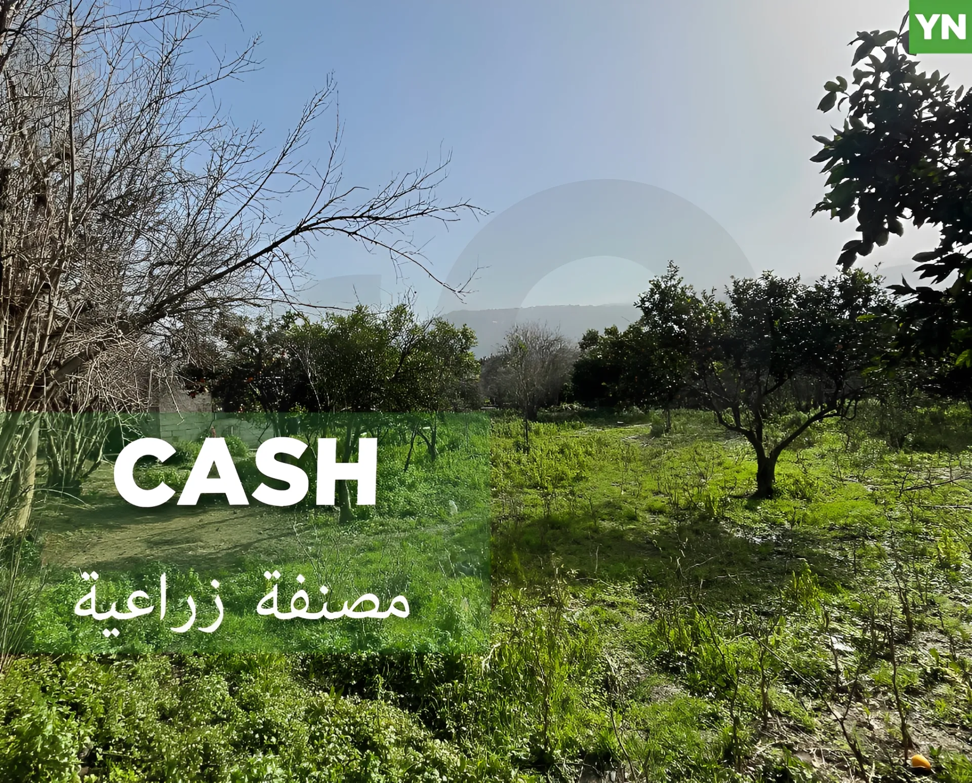 Land for Sale in Zgharta
