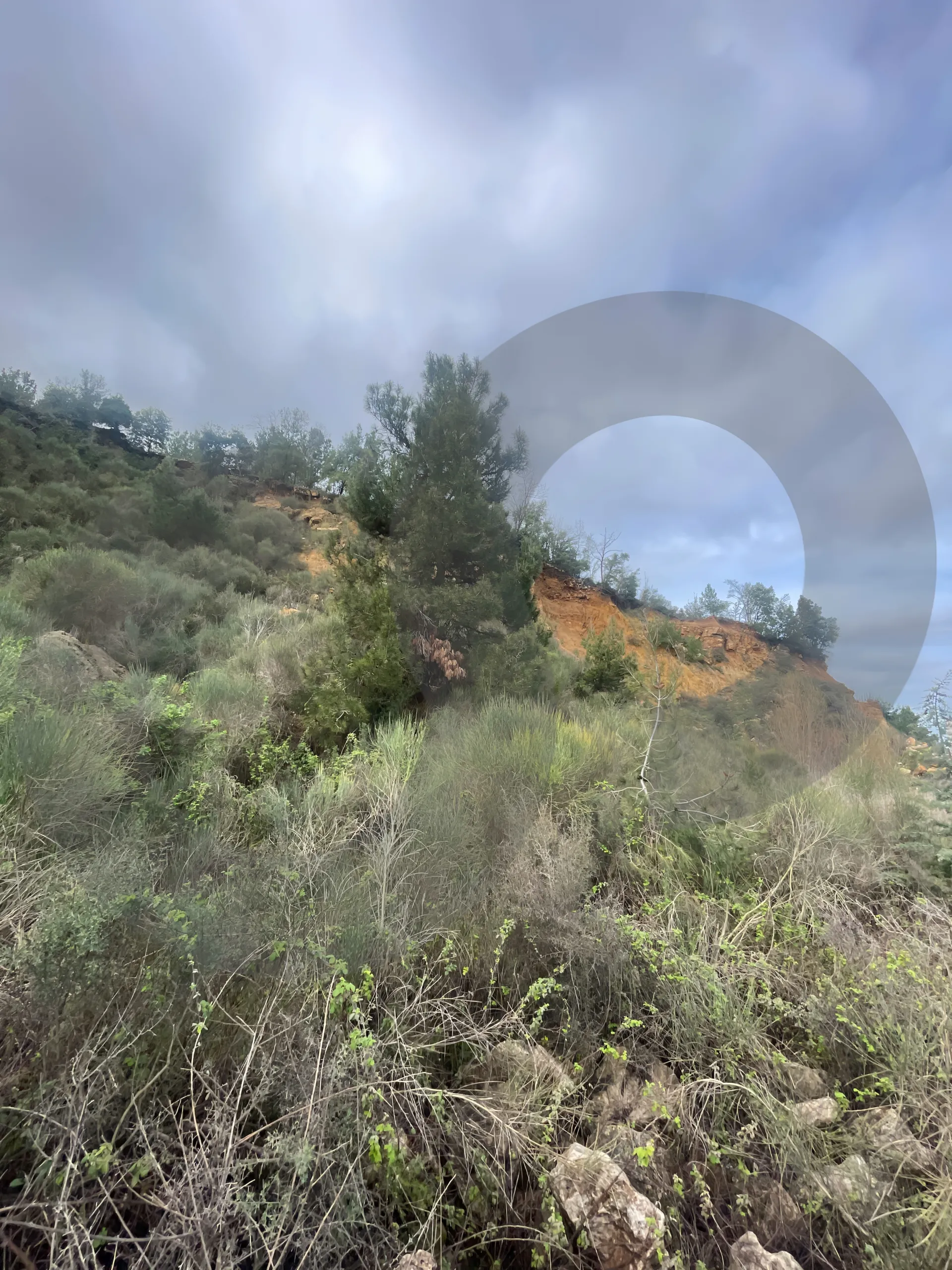 Land for Sale in Ain Ed Delb