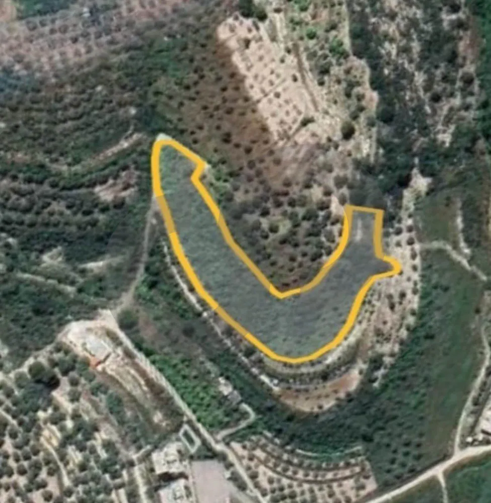 Land for Sale in Sidon