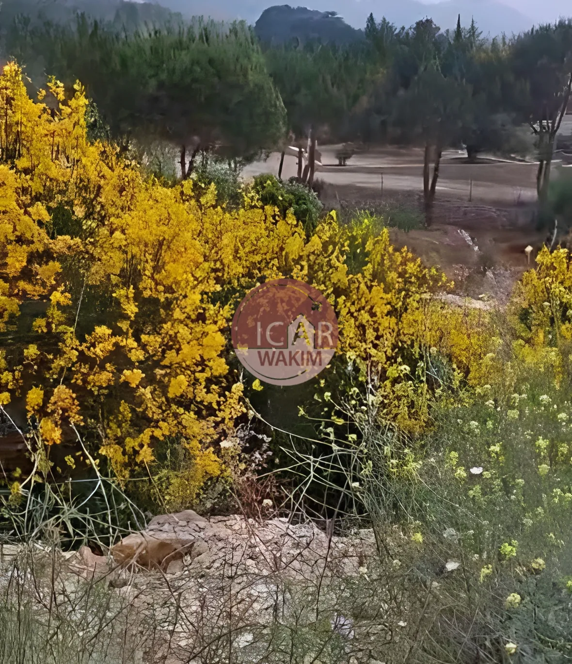 Residential Land for sale in Douma, Lebanon