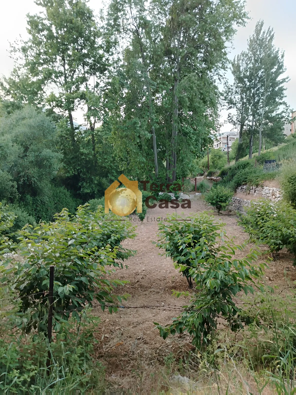 Land for Sale in Qaa el Rim