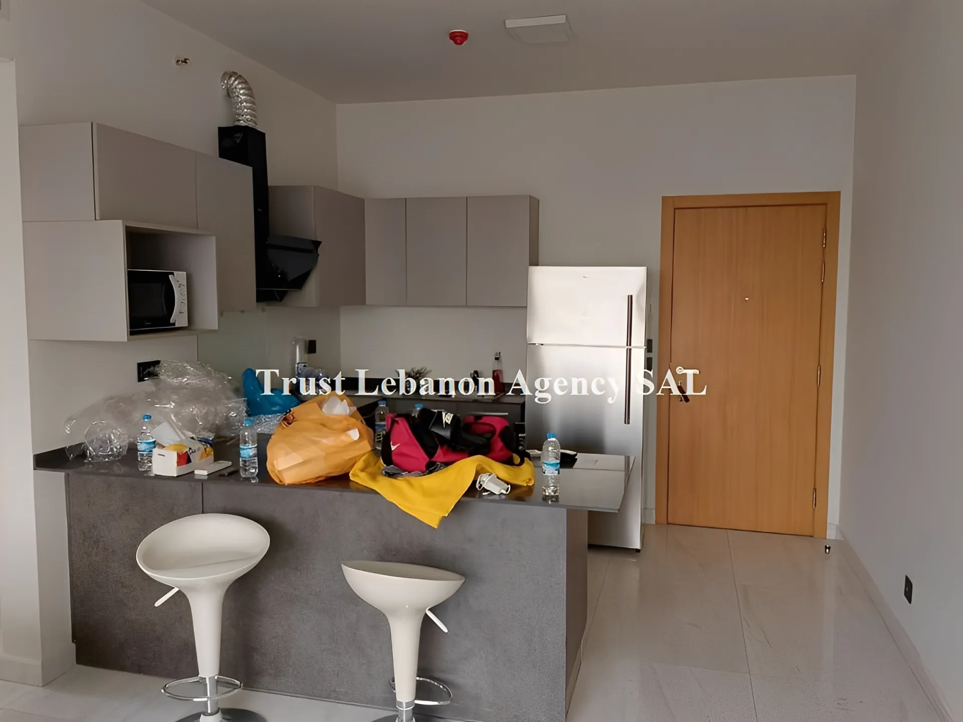 Apartment for Rent in Achrafieh Sioufi Lebanon