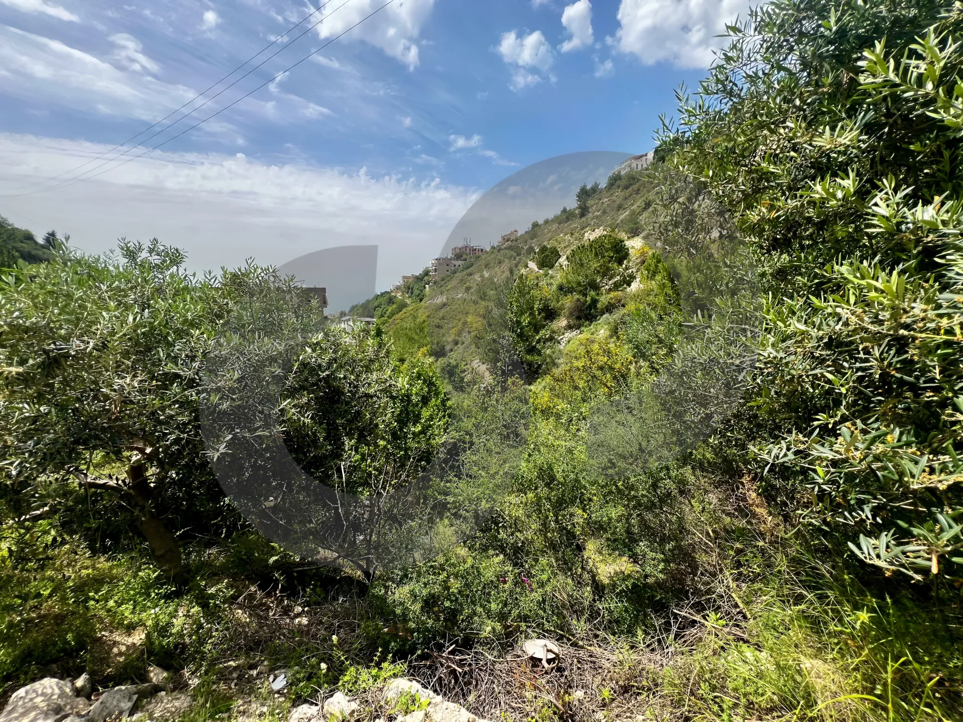 Land for Sale in Halat