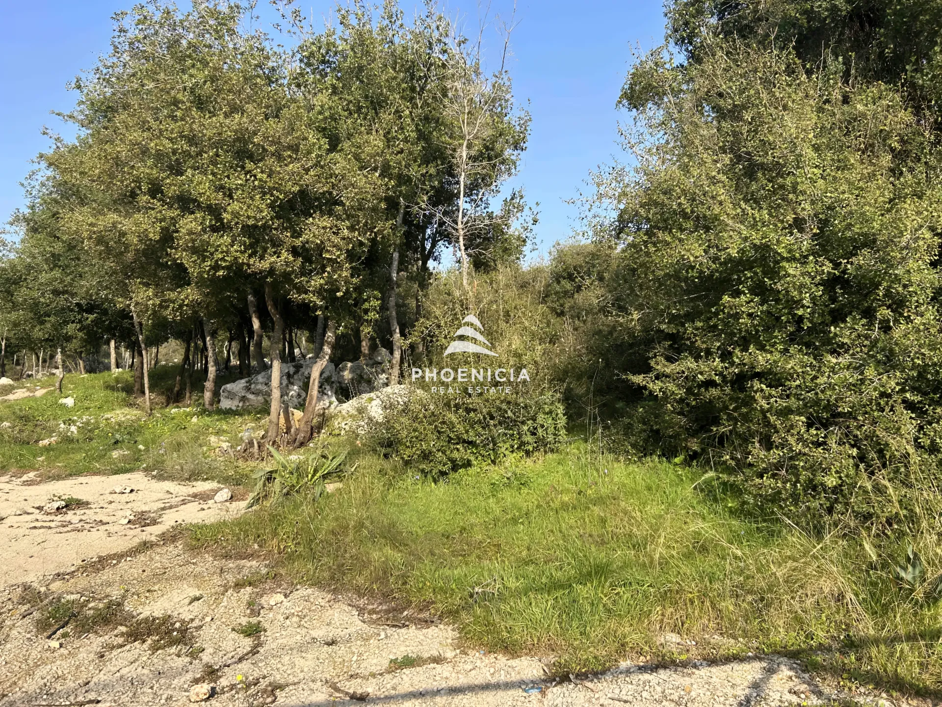Land for Sale in Bouar, Lebanon
