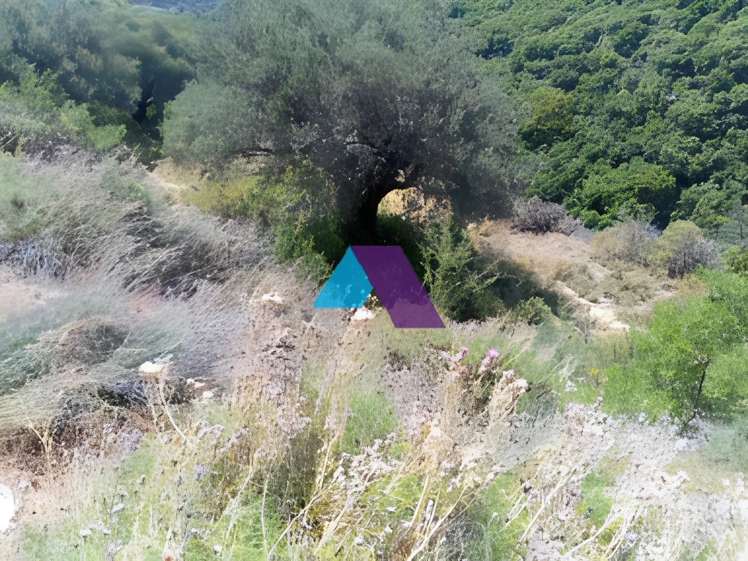 Land for Sale in Batroun