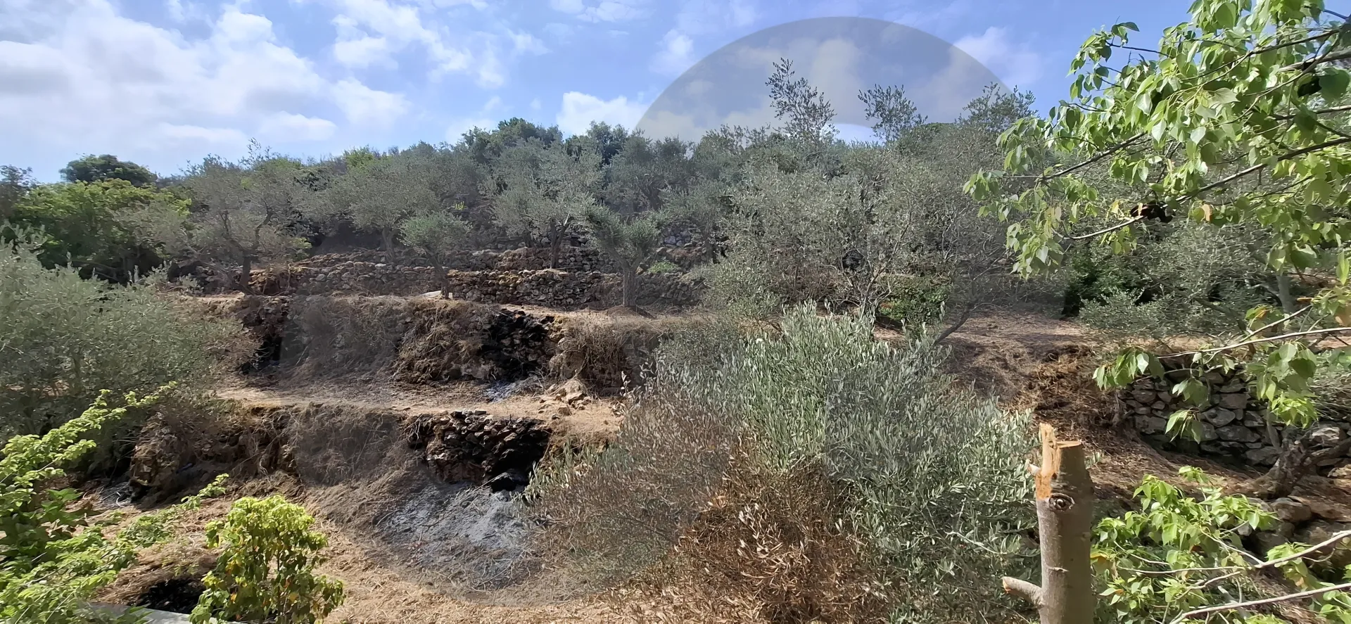 Villa for Sale in Jiyeh