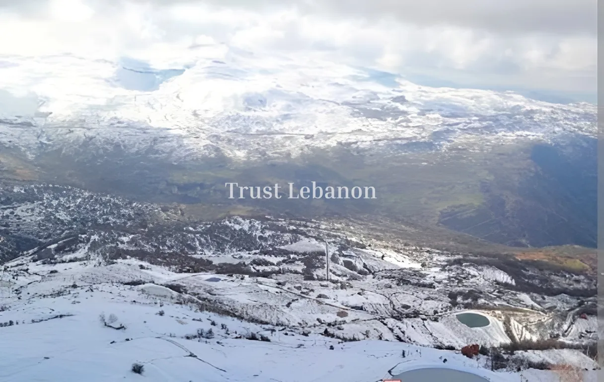 Residential Land for sale in Baskinta