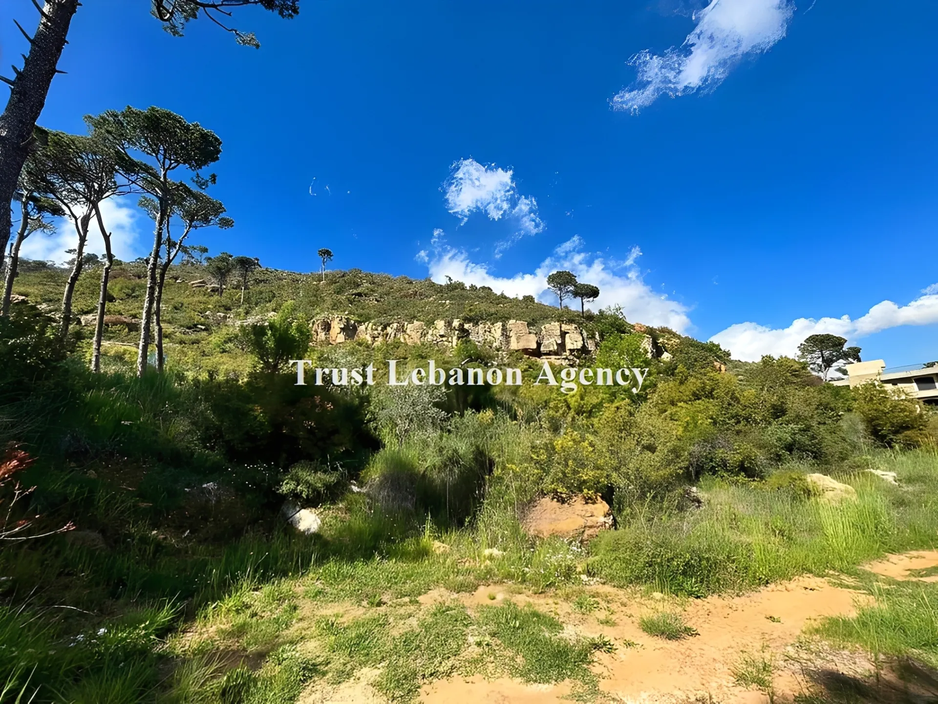 Land for Sale in Metn Al Kaakour Lebanon