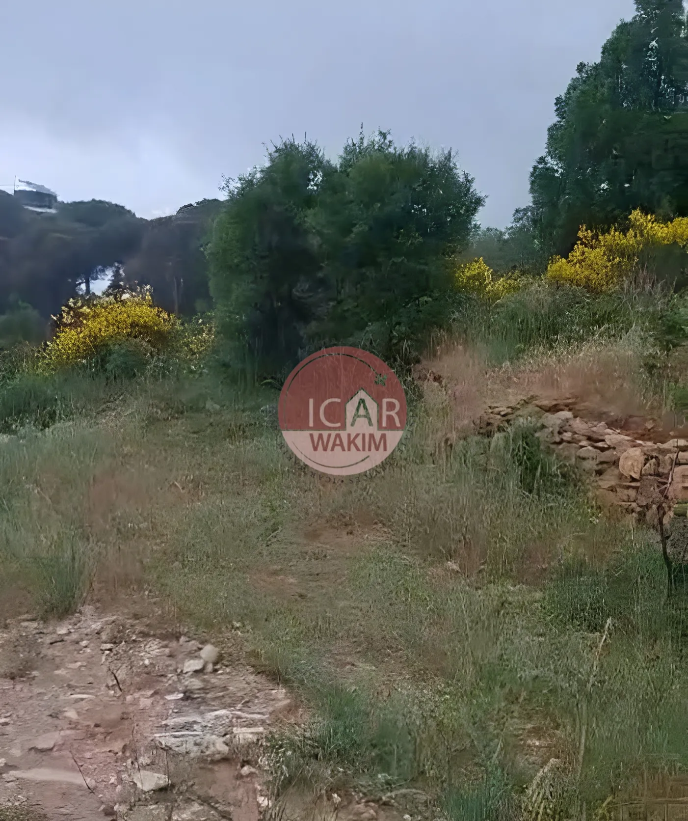 Residential Land for sale in Douma, Lebanon