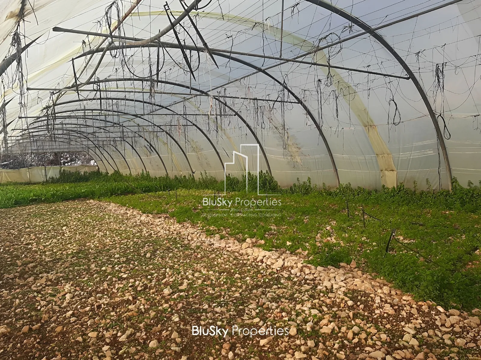 Land for Sale in Bchelli