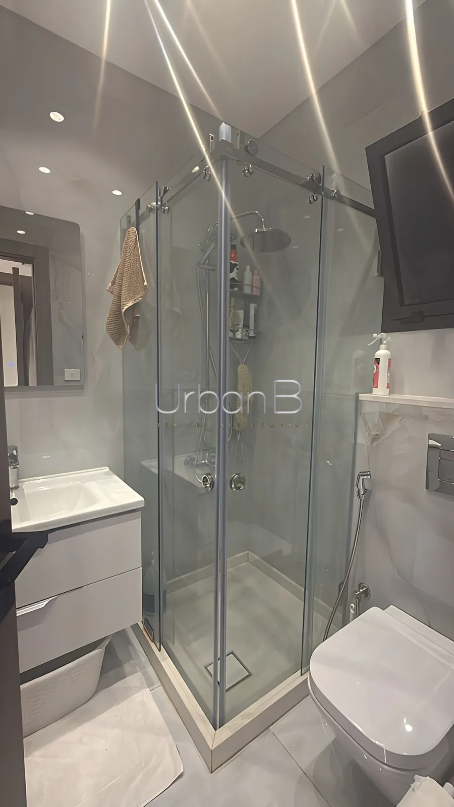 Apartment for rent in Hotel dieu, beirut, lebanon
