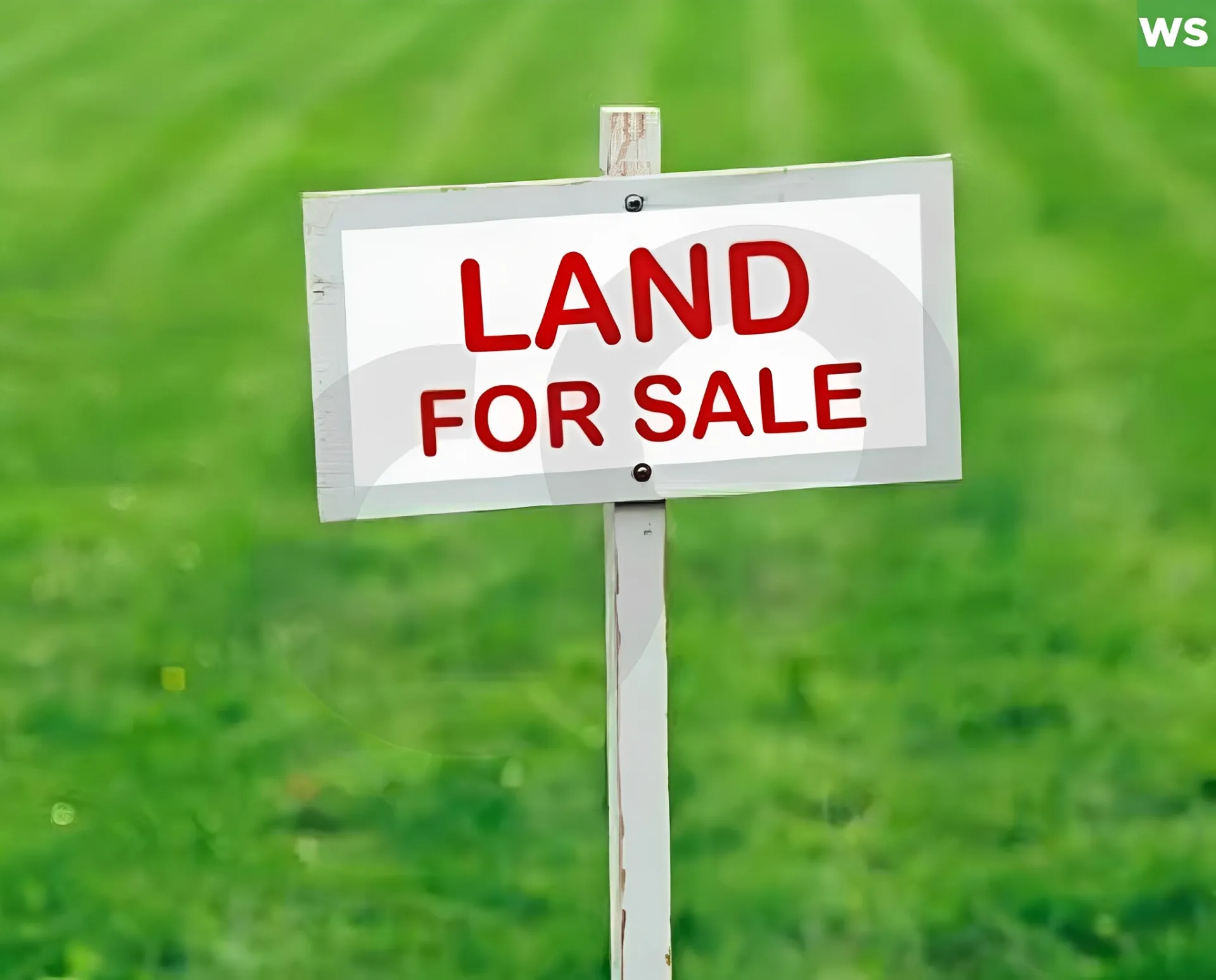 Land for Sale in Saifi Village