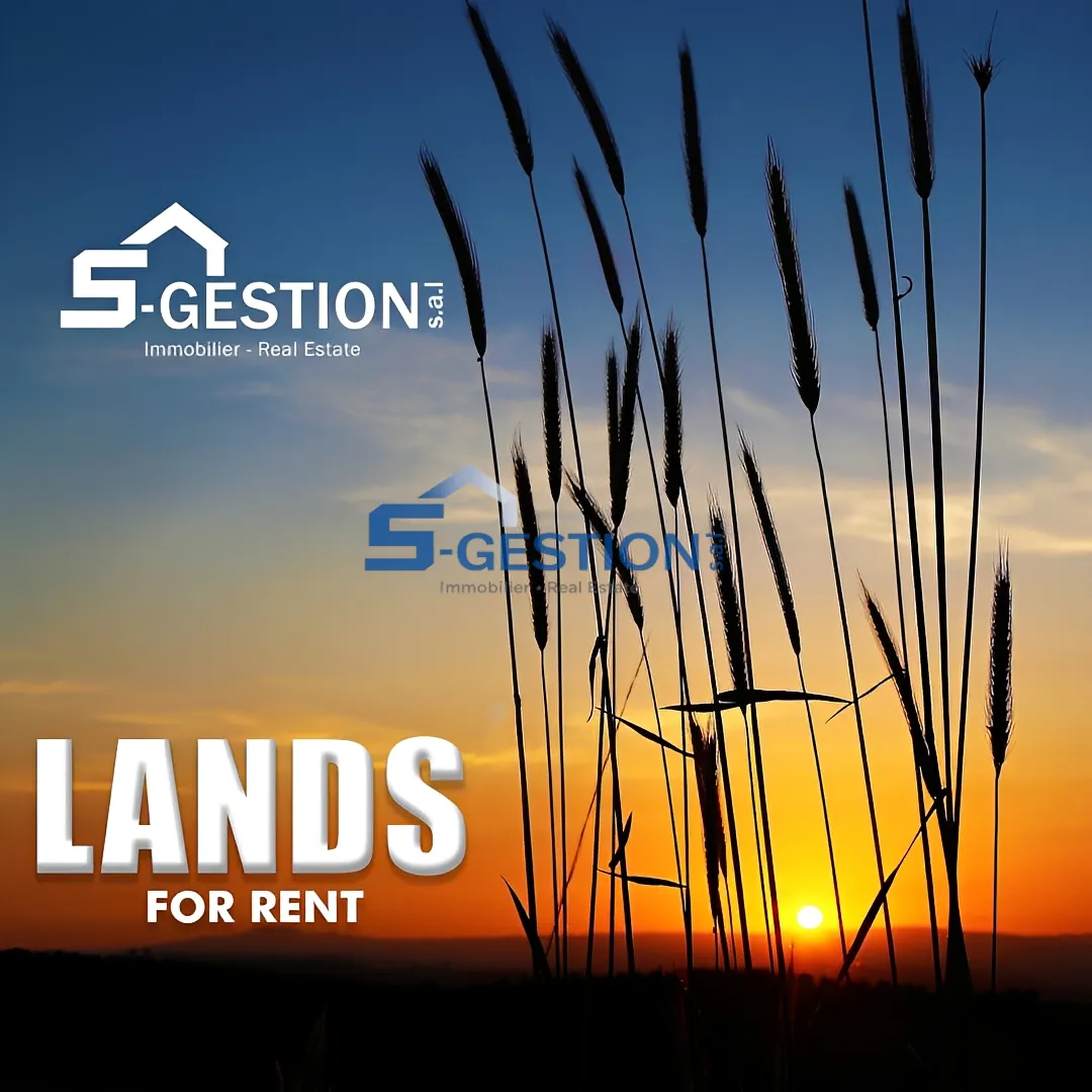 Residential Land for Rent in Antelias
