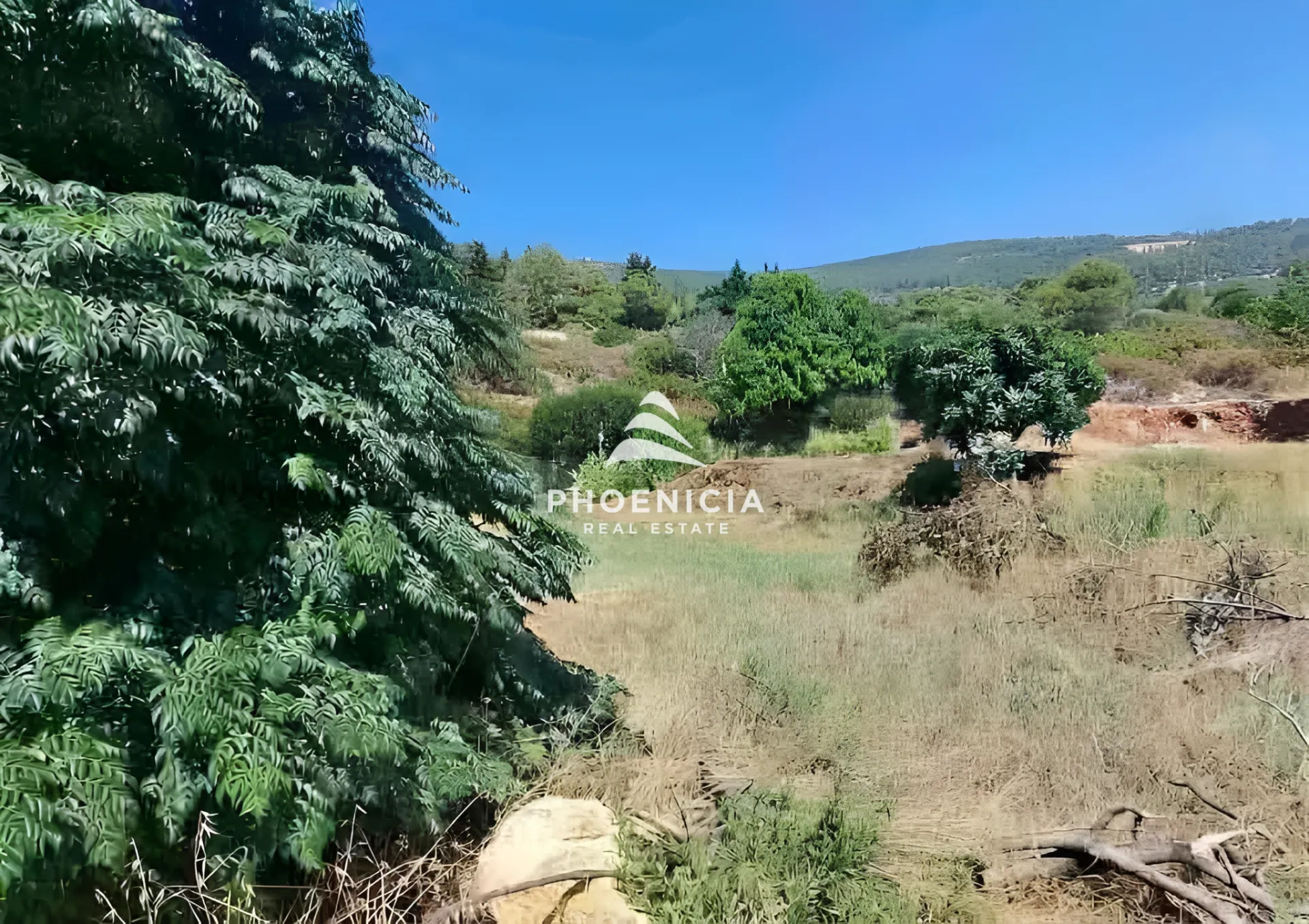 Residential Land for sale in Edde